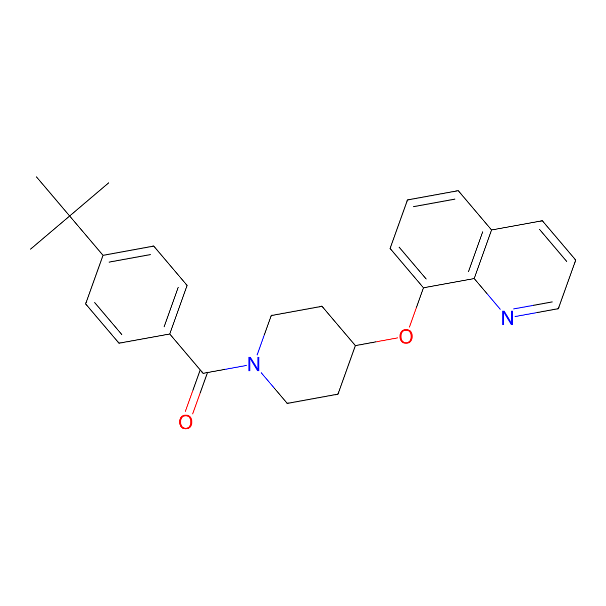 (4-(Tert-butyl)phenyl)(4-(quinolin-8-yloxy)piperidin-1-yl)methanone molecular structure, CAS 1904081-10-2