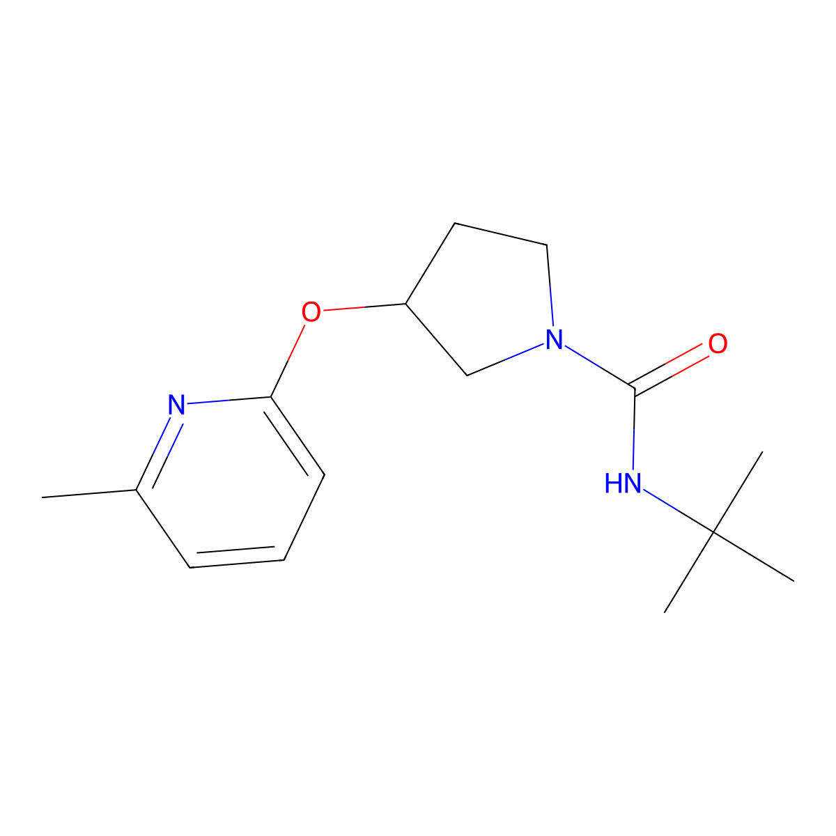 N-(tert-butyl)-3-((6-methylpyridin-2-yl)oxy)pyrrolidine-1-carboxamide molecular structure, CAS 1904218-24-1