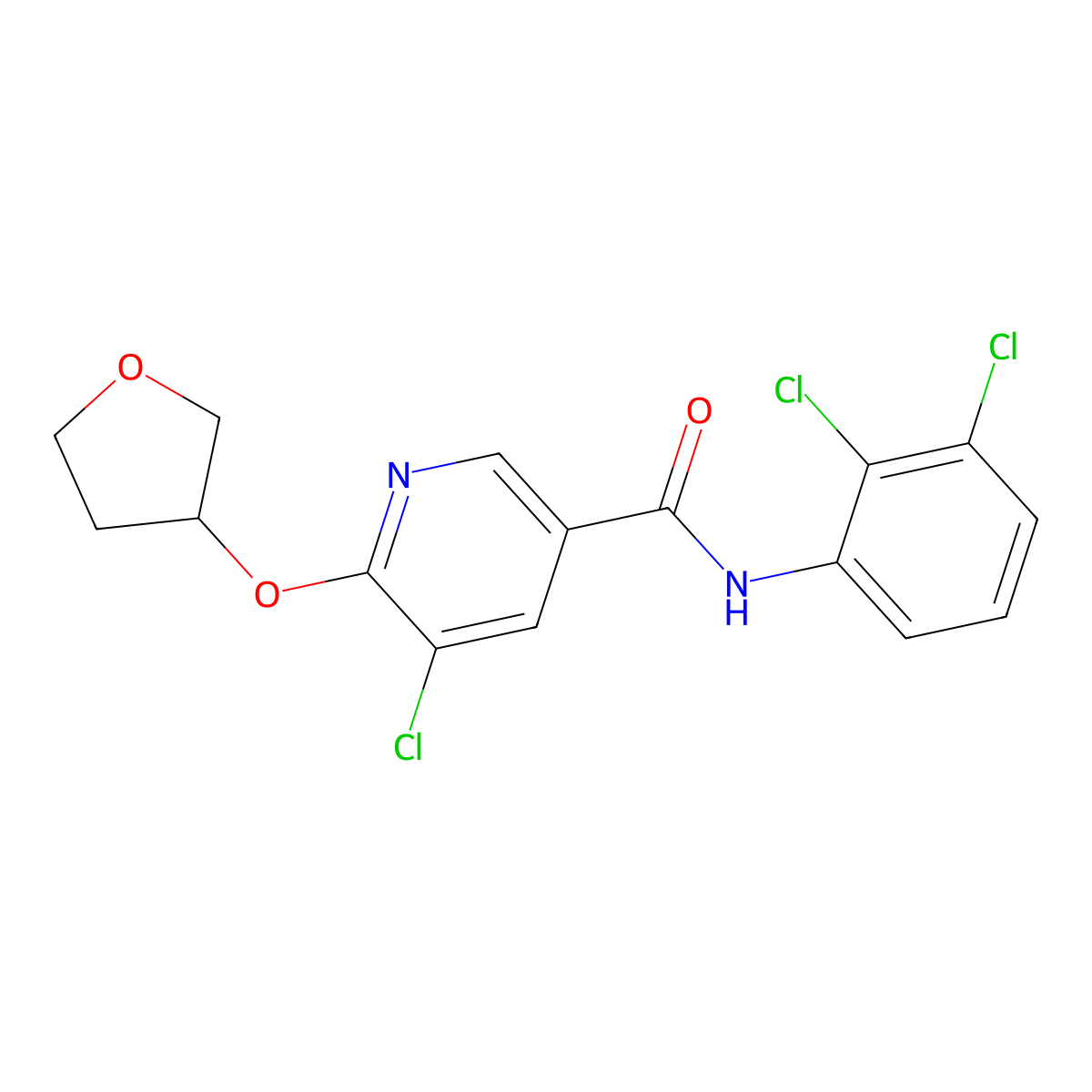 5-chloro-N-(2,3-dichlorophenyl)-6-((tetrahydrofuran-3-yl)oxy)nicotinamide molecular structure, CAS 1904339-58-7