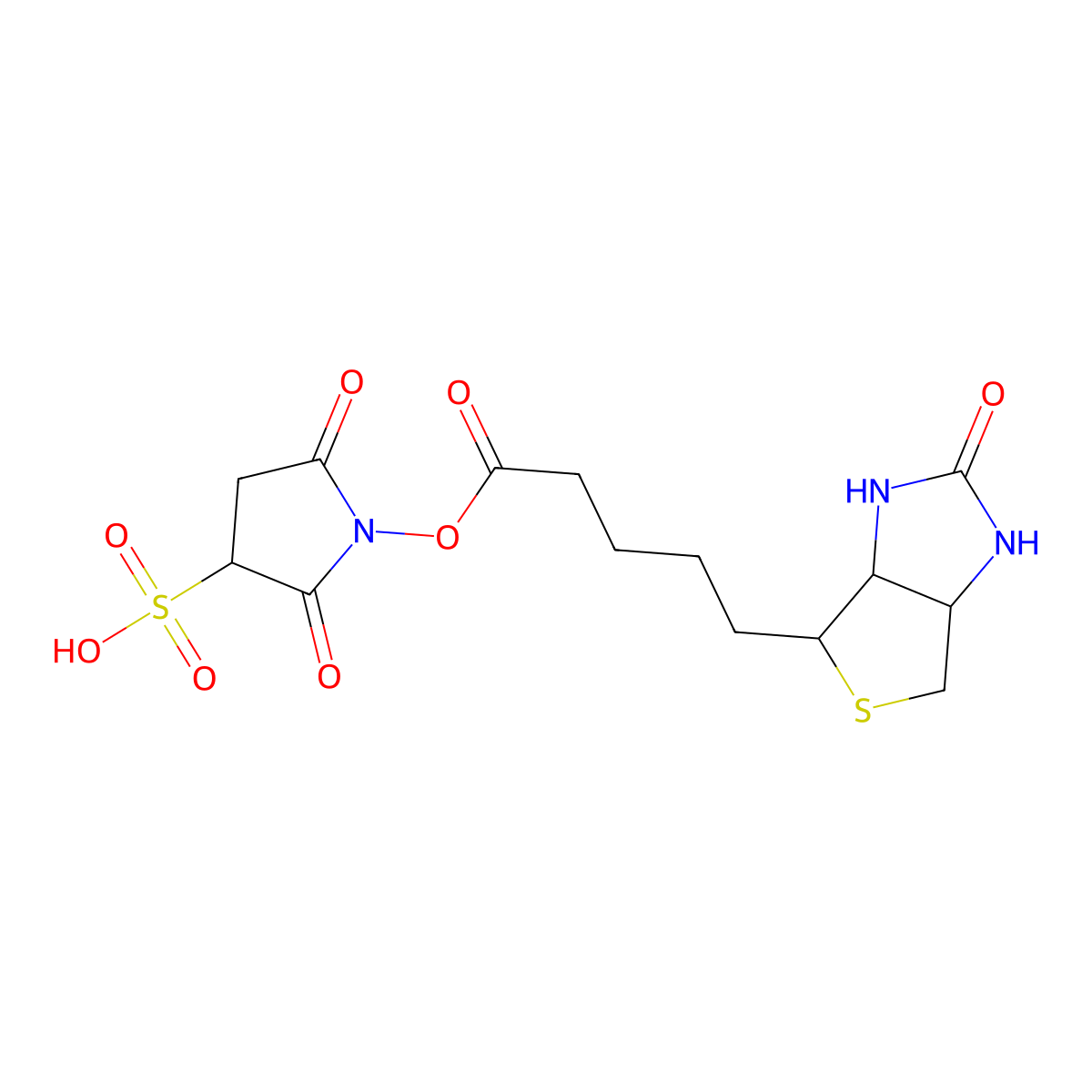 2,5-Dioxo-1-((5-((3aS,4S,6aR)-2-oxohexahydro-1H-thieno[3,4-d]imidazol-4-yl)pentanoyl)oxy)pyrrolidine-3-sulfonic acid molecular structure, CAS 190598-55-1