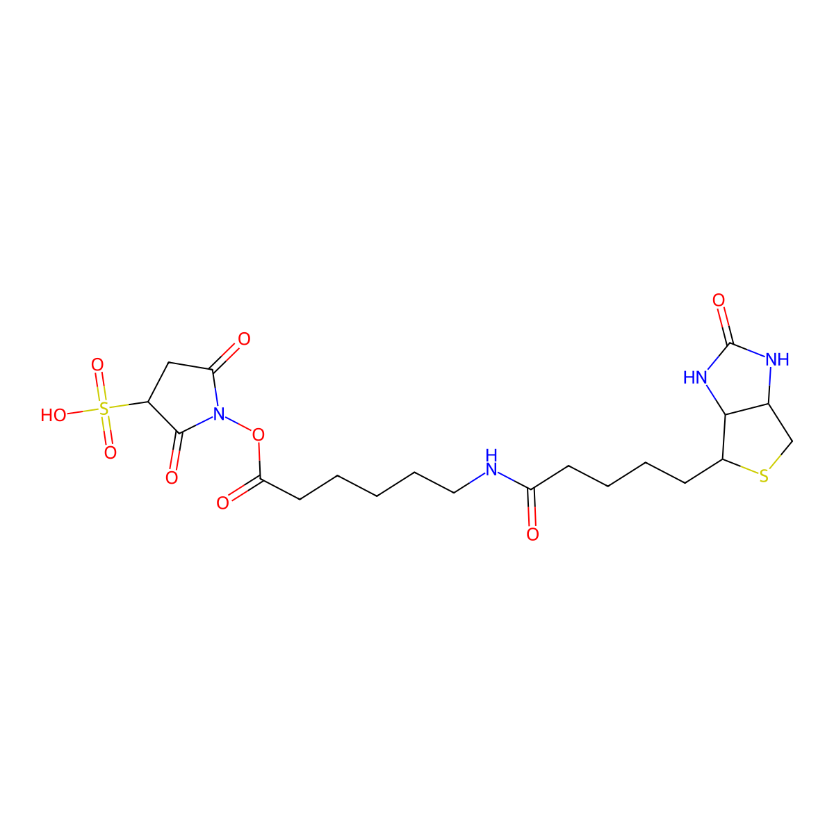 2,5-Dioxo-1-((6-(5-((3aS,4S,6aR)-2-oxohexahydro-1H-thieno[3,4-d]imidazol-4-yl)pentanamido)hexanoyl)oxy)pyrrolidine-3-sulfonic acid molecular structure, CAS 190598-57-3