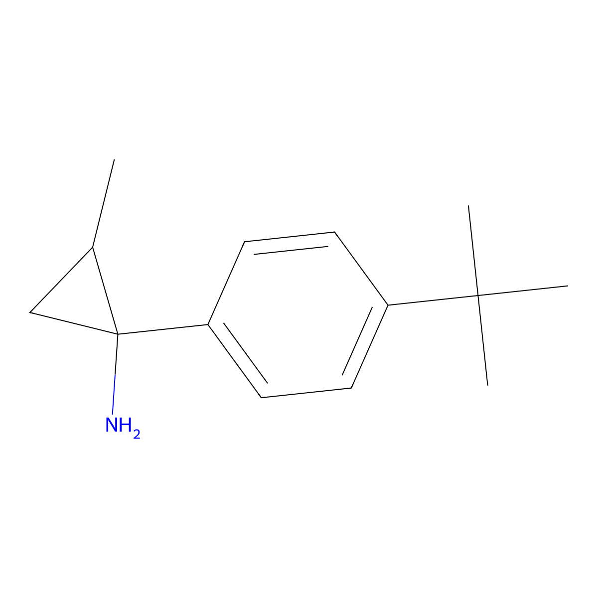 rac-(1R,2R)-1-(4-tert-butylphenyl)-2-methylcyclopropan-1-amine molecular structure, CAS 1909294-64-9