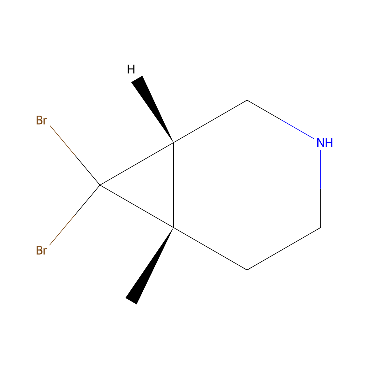rac-(1R,6R)-7,7-dibromo-6-methyl-3-azabicyclo[4.1.0]heptane molecular structure, CAS 1909294-90-1