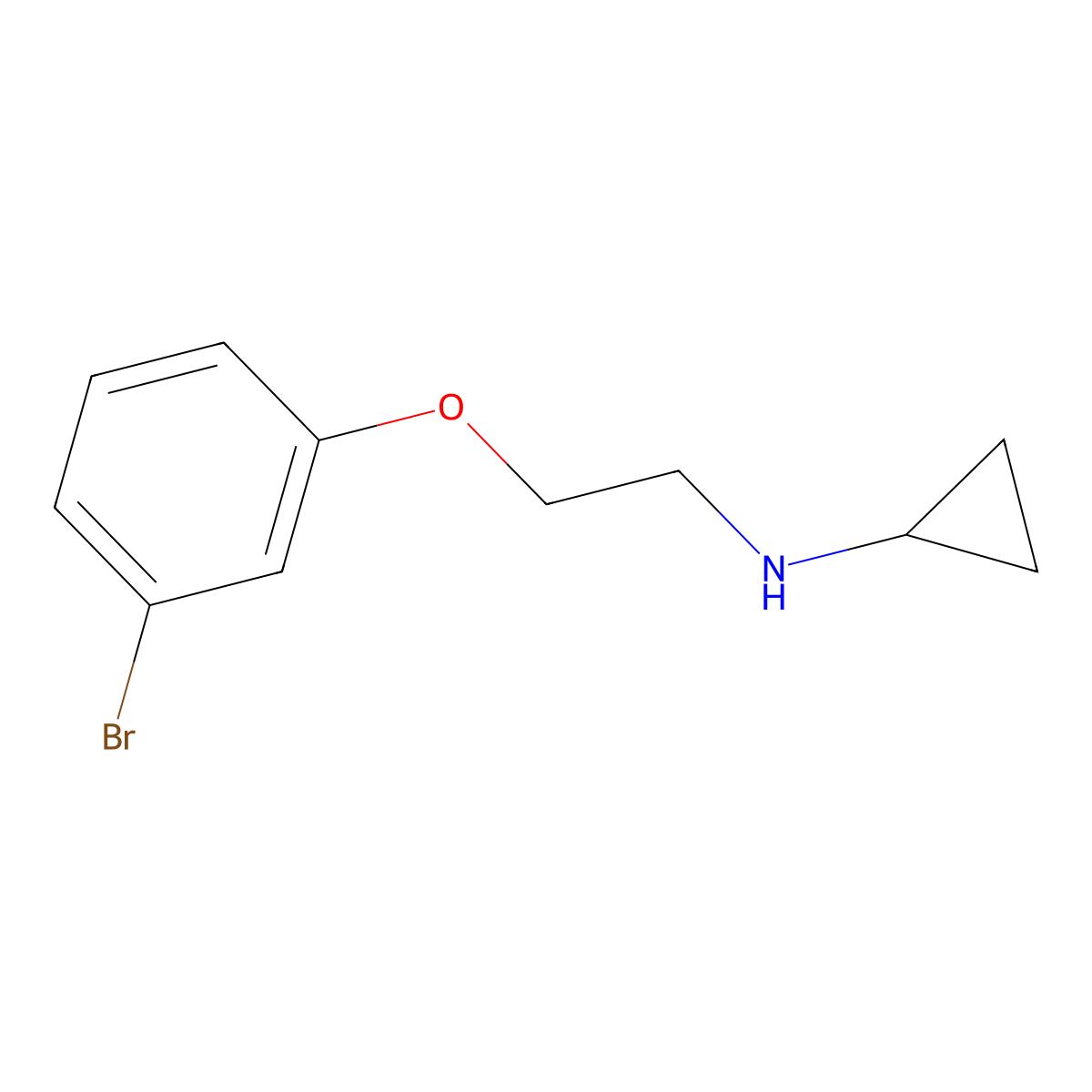N-(2-(3-bromophenoxy)ethyl)cyclopropanamine molecular structure, CAS 19160-73-7