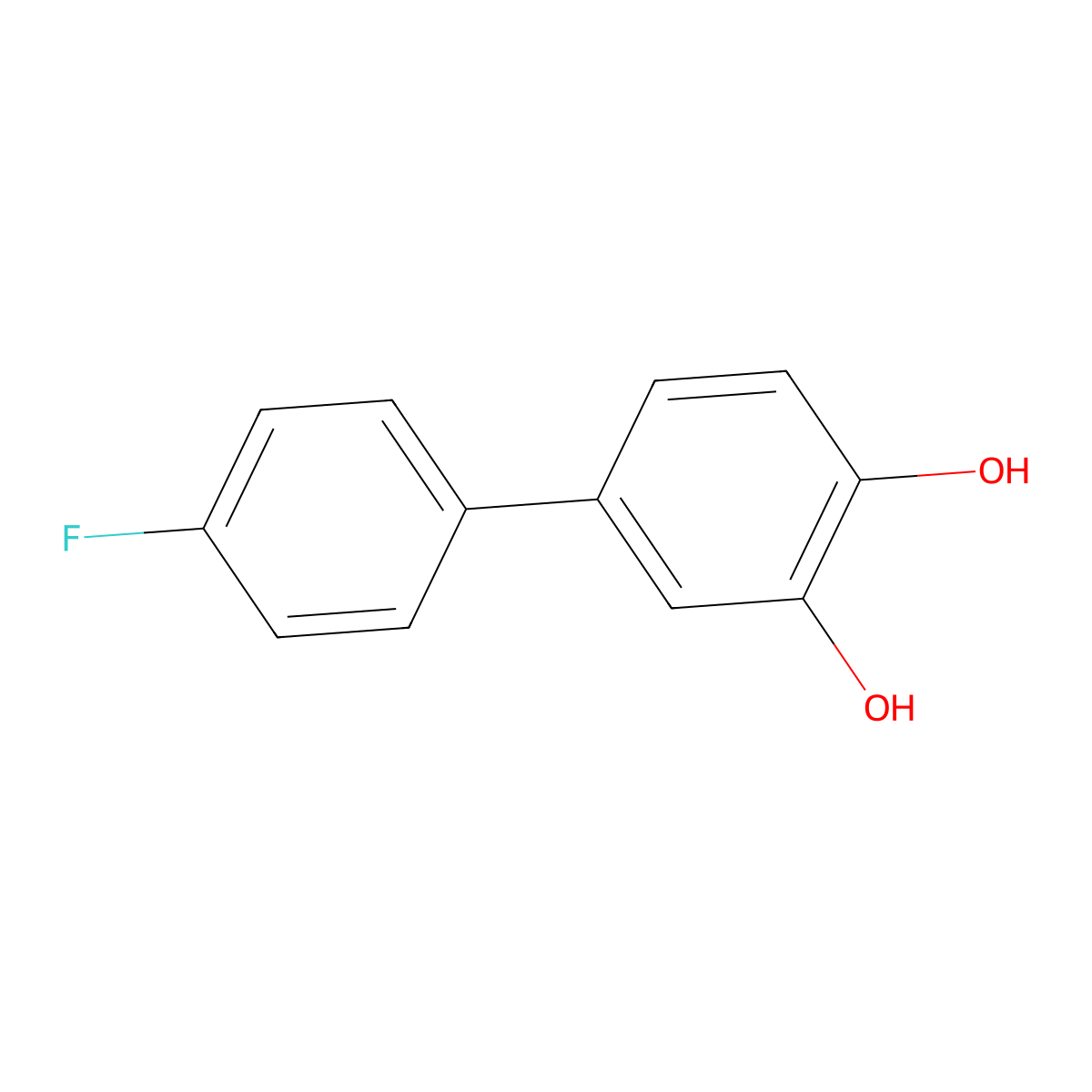 4'-Fluoro[1,1'-biphenyl]-3,4-diol molecular structure, CAS 1927890-66-1