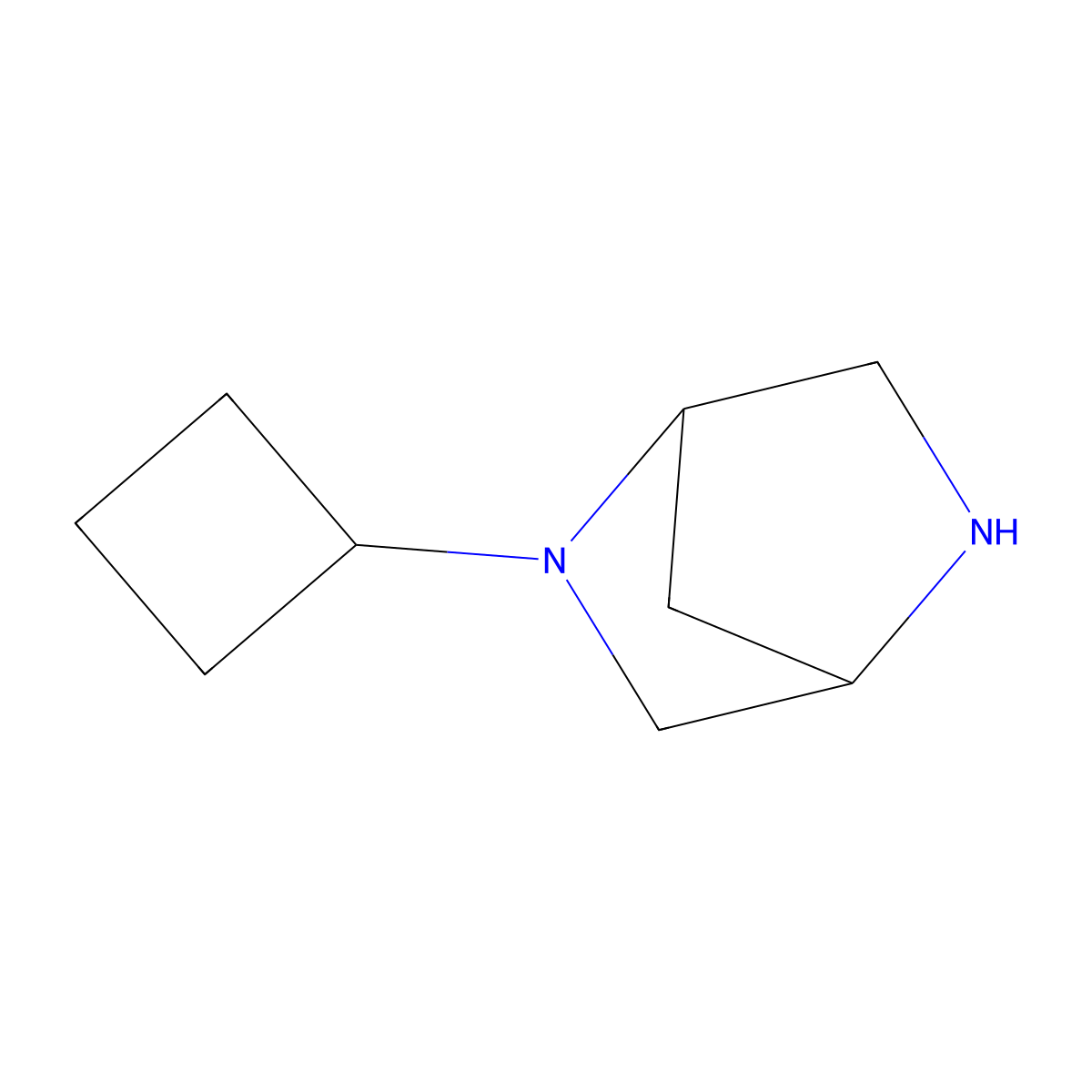(1S,4S)-2-cyclobutyl-2,5-diazabicyclo[2.2.1]heptane molecular structure, CAS 1931993-31-5