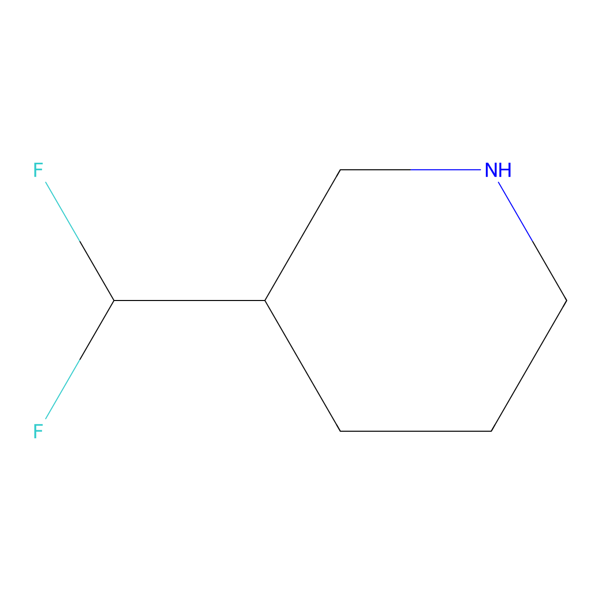 3-(Difluoromethyl)piperidine molecular structure, CAS 1932019-42-5