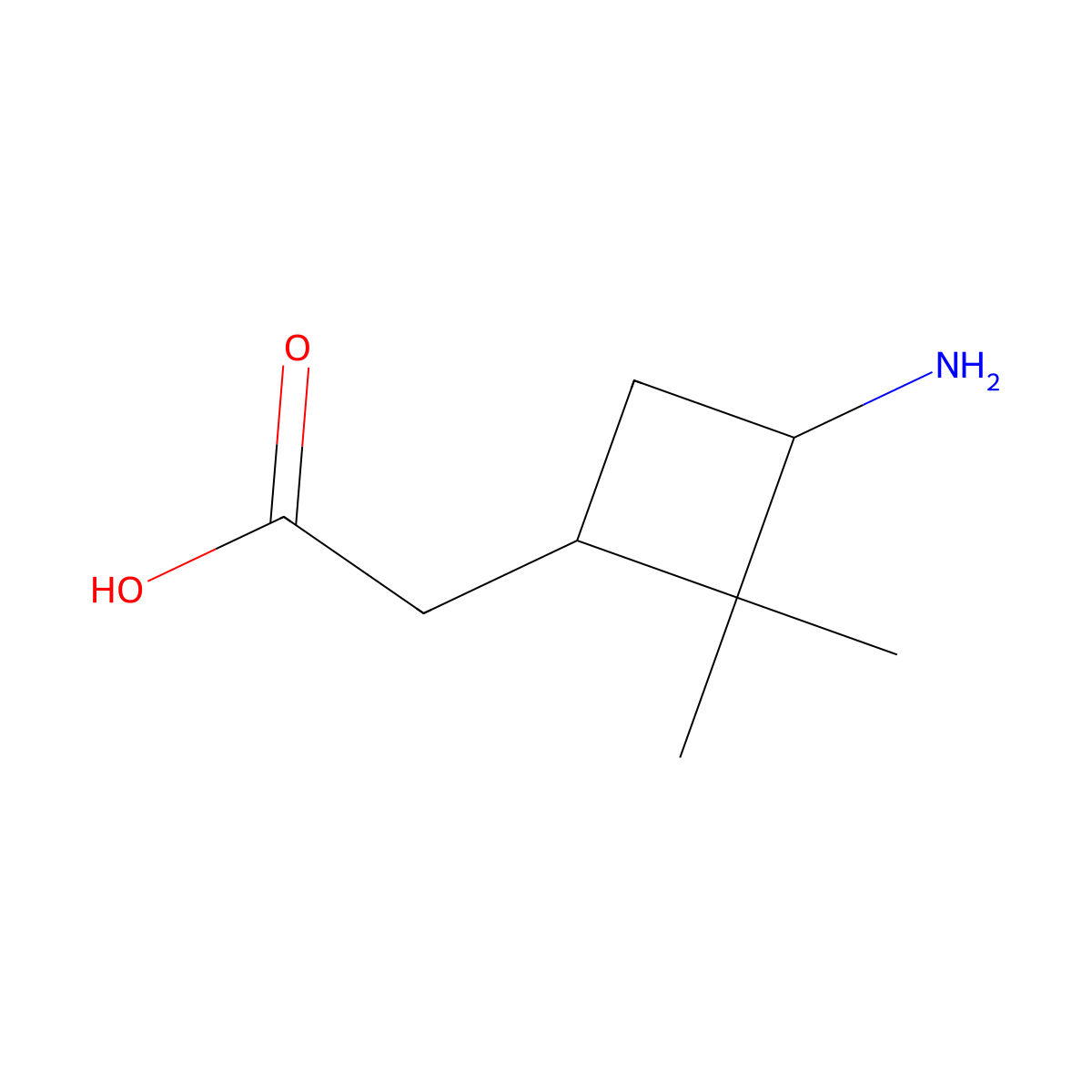 rac-2-[(1R,3R)-3-amino-2,2-dimethylcyclobutyl]acetic acid molecular structure, CAS 1932164-15-2