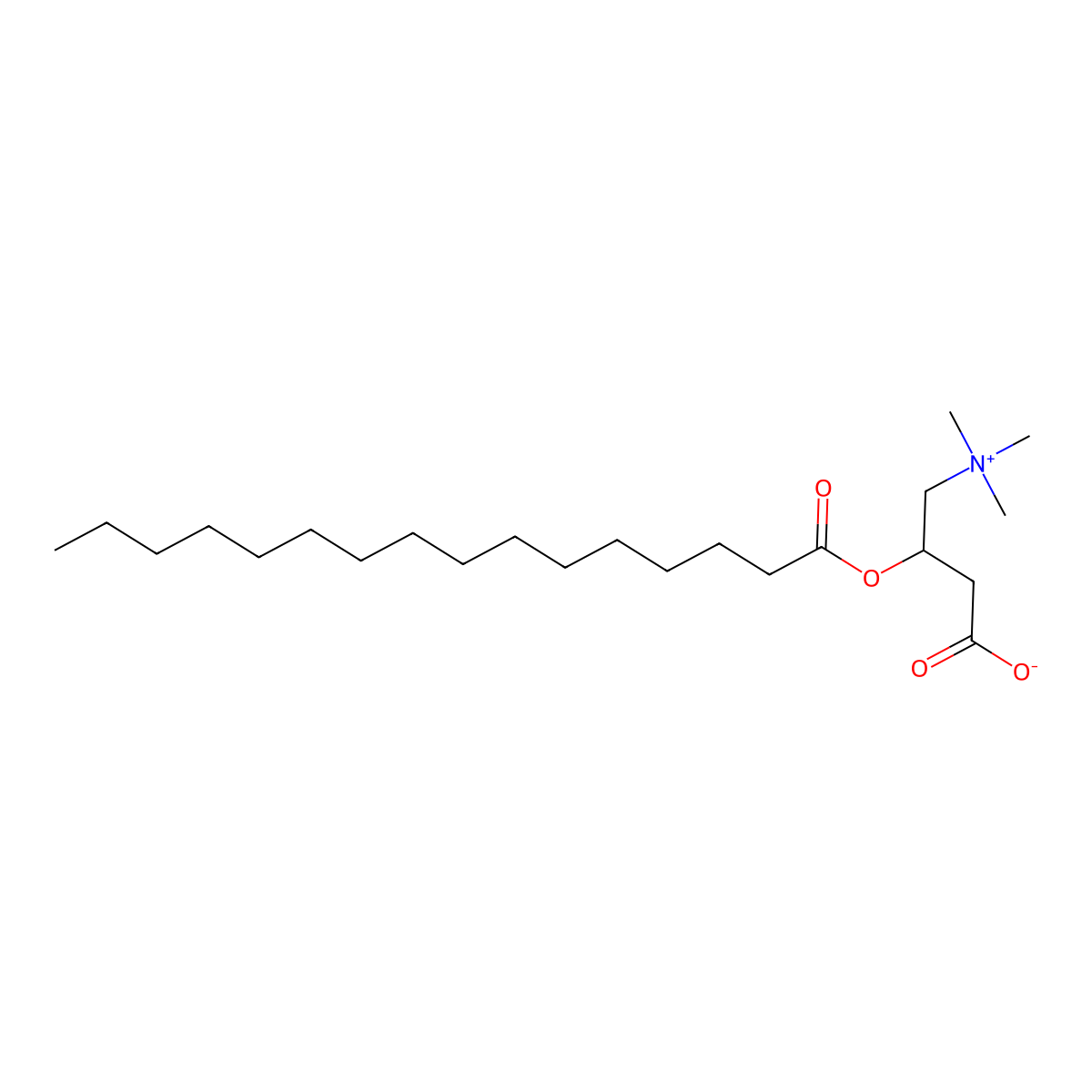 (+-)-Palmitoyl carnitine molecular structure, CAS 1935-18-8