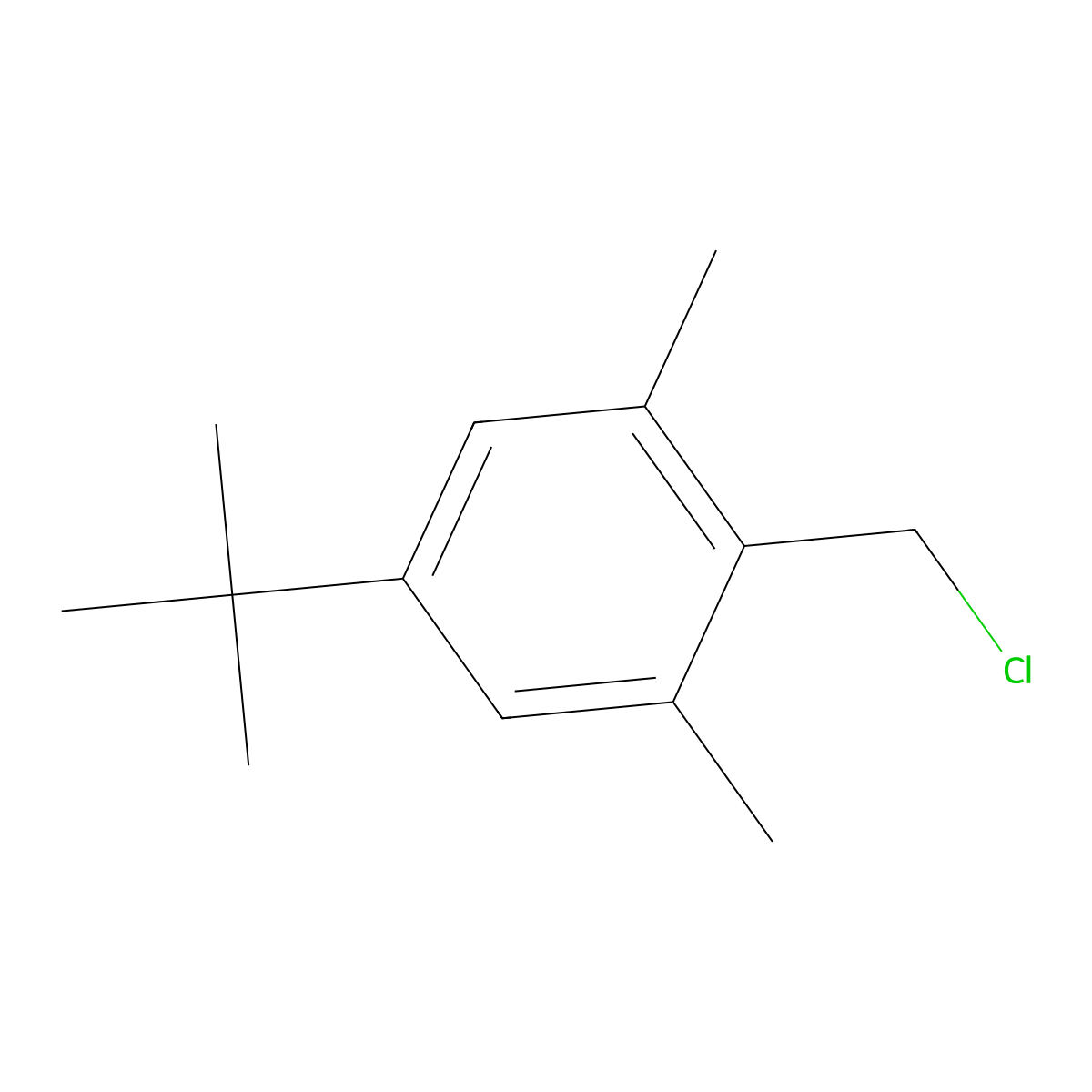 1-tert-Butyl-4-(chloromethyl)-3,5-dimethylbenzene molecular structure, CAS 19387-83-8