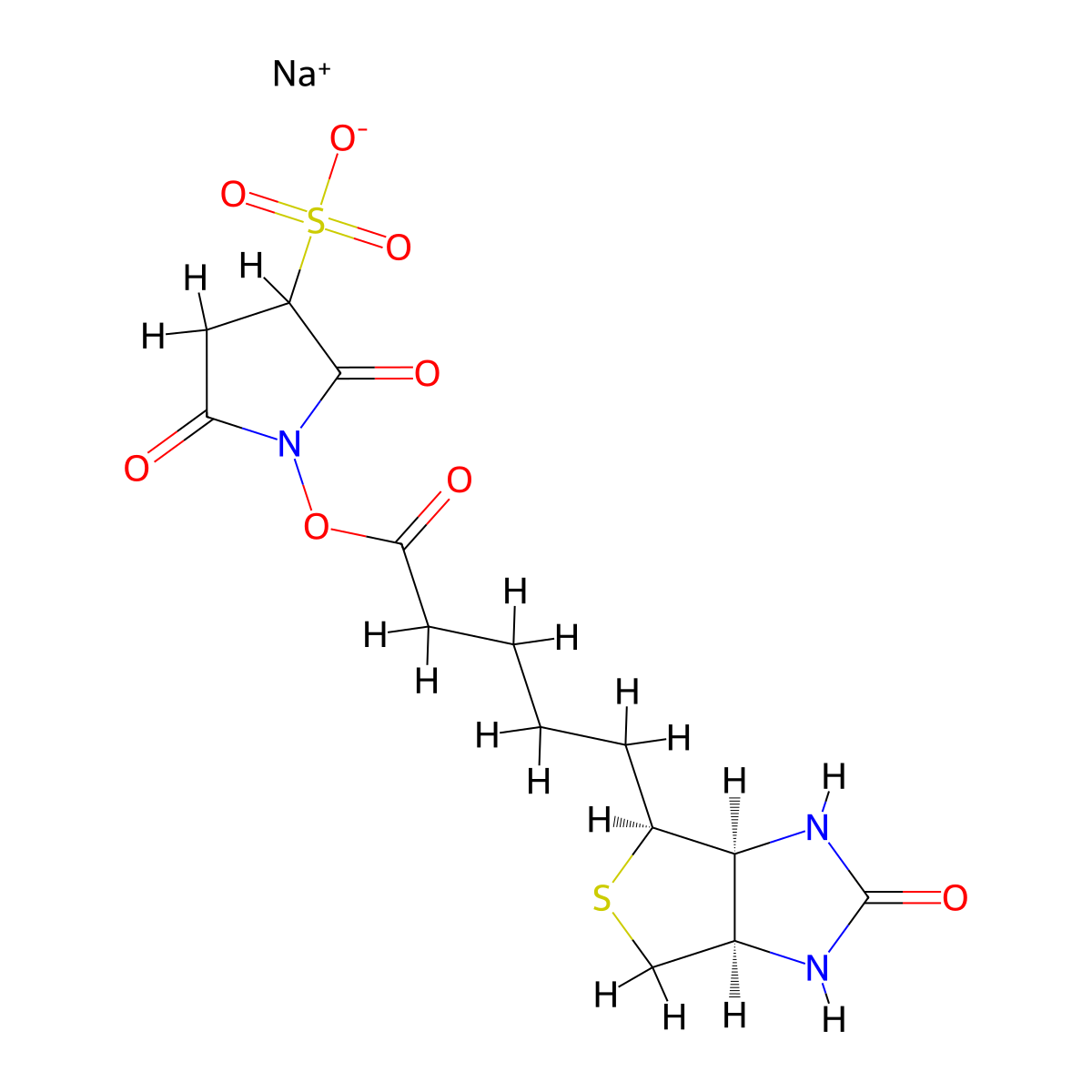 Sulphosuccinimido biotin molecular structure, CAS 194041-65-1