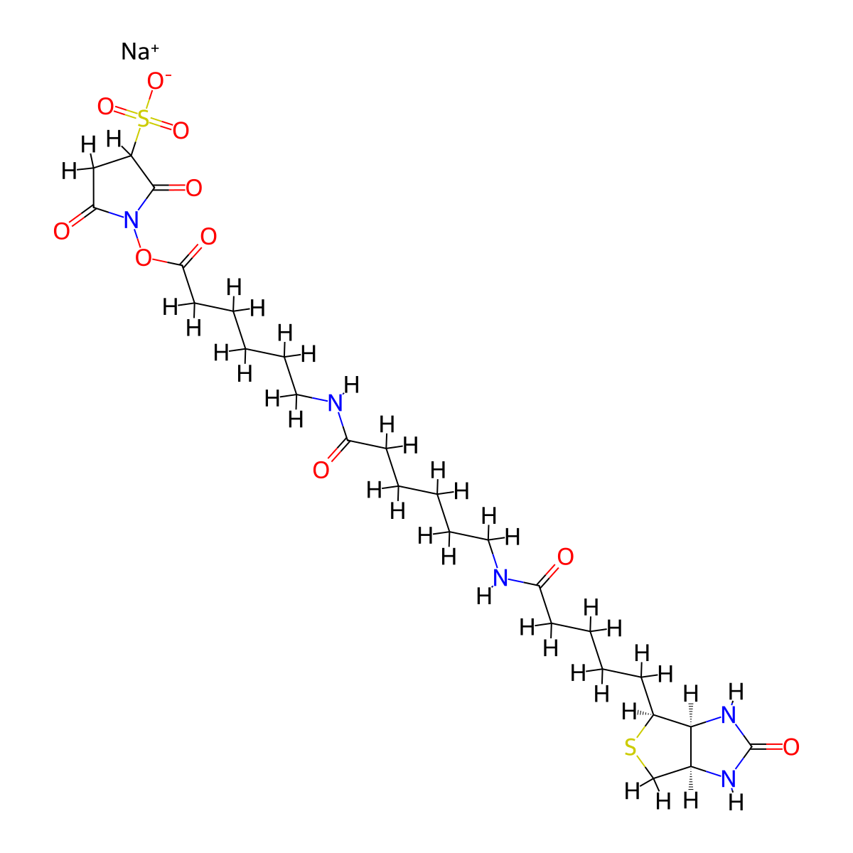 Sulfo-nhs-LC-LC-biotin molecular structure, CAS 194041-66-2