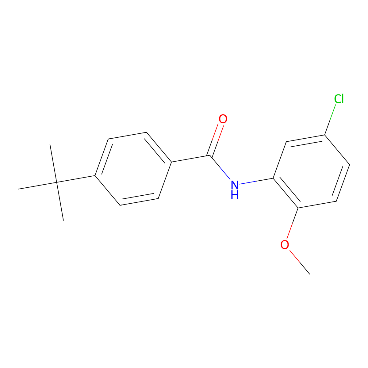 4-tert-butyl-N-(5-chloro-2-methoxyphenyl)benzamide molecular structure, CAS 195511-71-8