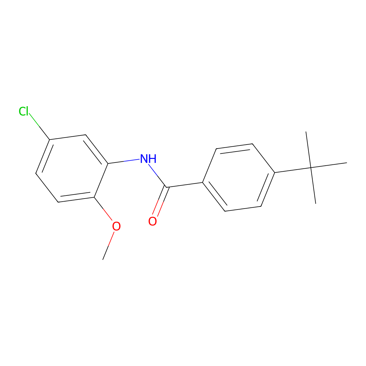 4-tert-butyl-N-(5-chloro-2-methoxyphenyl)benzamide molecular structure, CAS 195511-71-8