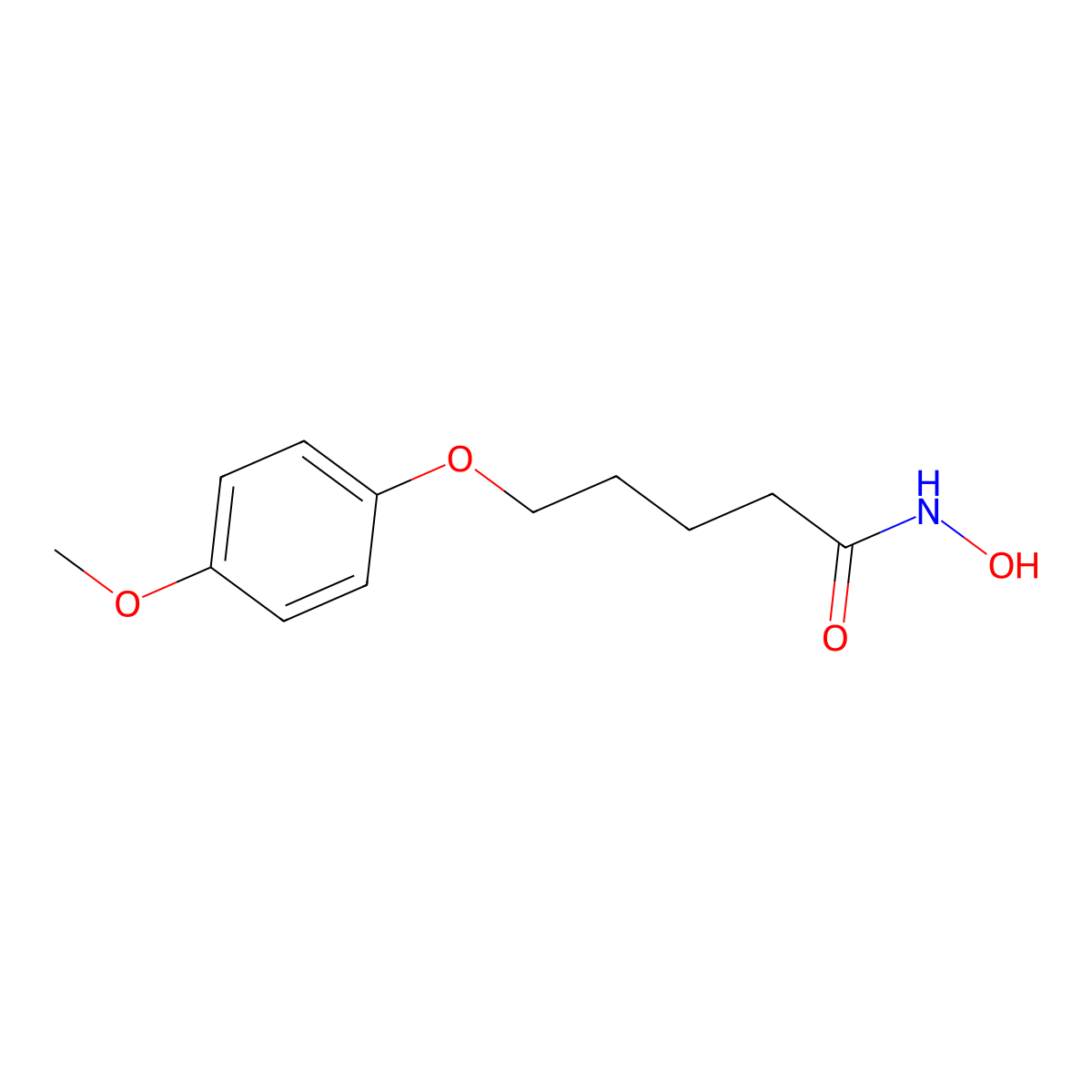 N-Hydroxy-5-(4-methoxyphenoxy)pentanamide molecular structure, CAS 1956355-48-8