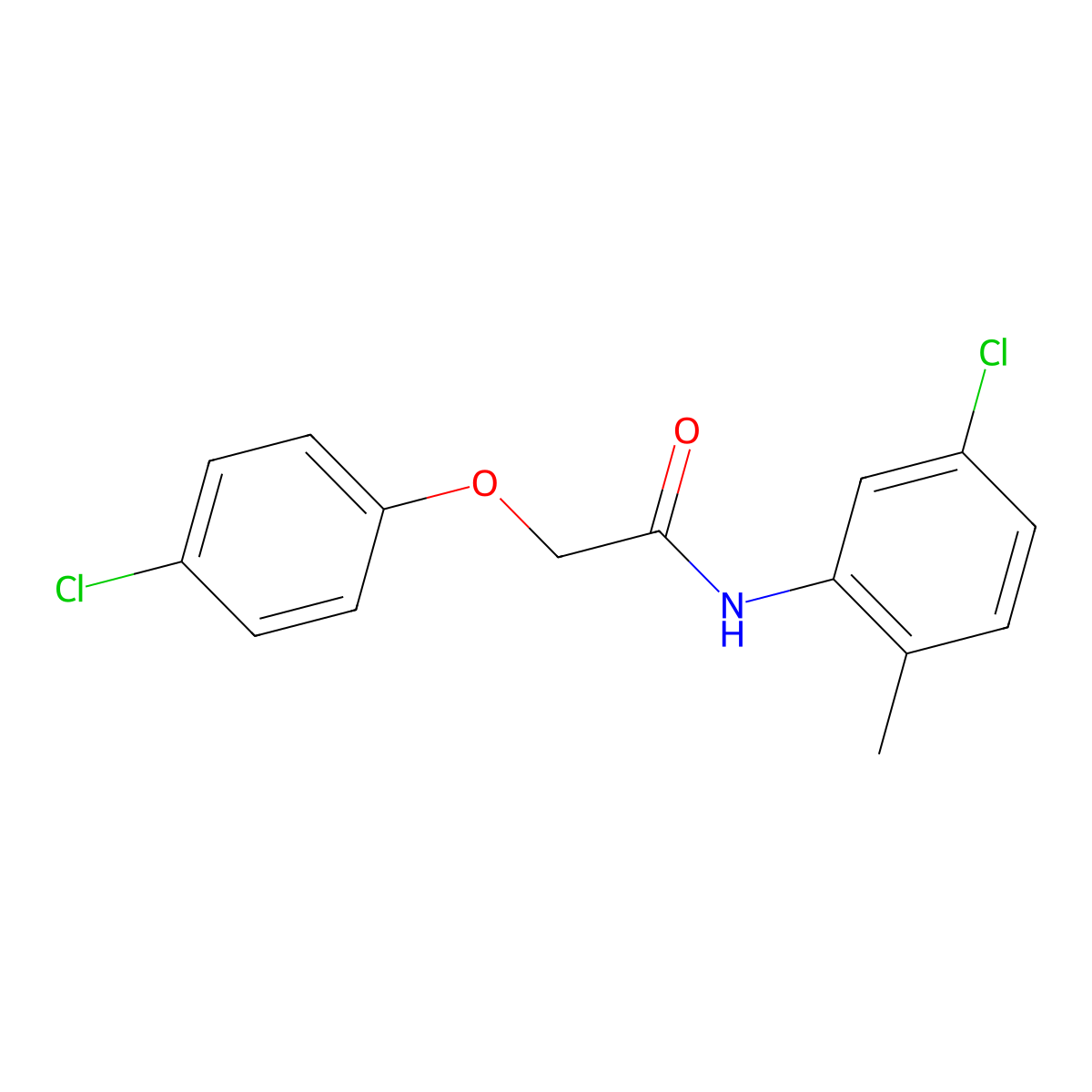 N-(5-chloro-2-methylphenyl)-2-(4-chlorophenoxy)acetamide molecular structure, CAS 196712-21-7