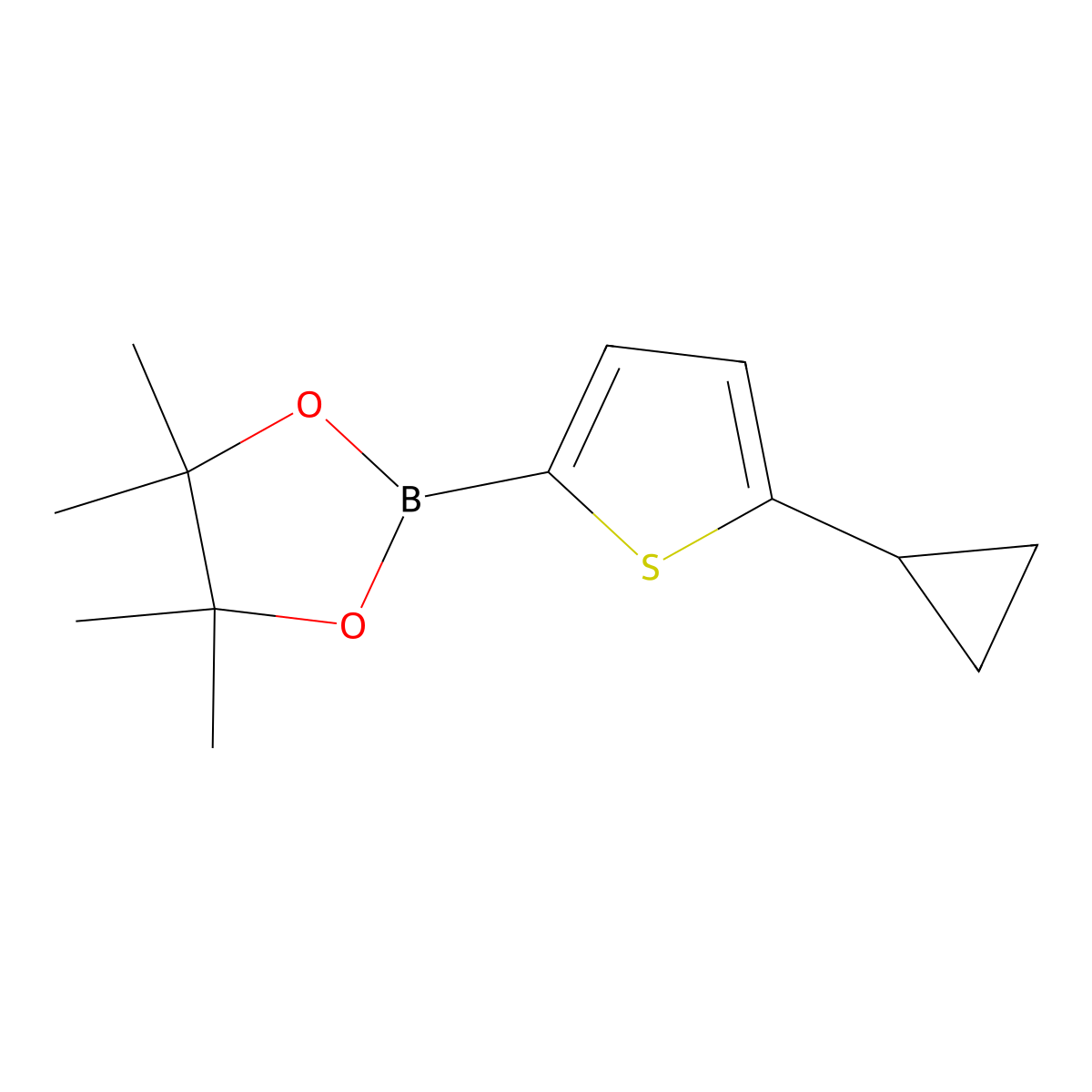 2-(5-Cyclopropylthiophen-2-yl)-4,4,5,5-tetramethyl-1,3,2-dioxaborolane molecular structure, CAS 1979157-06-6