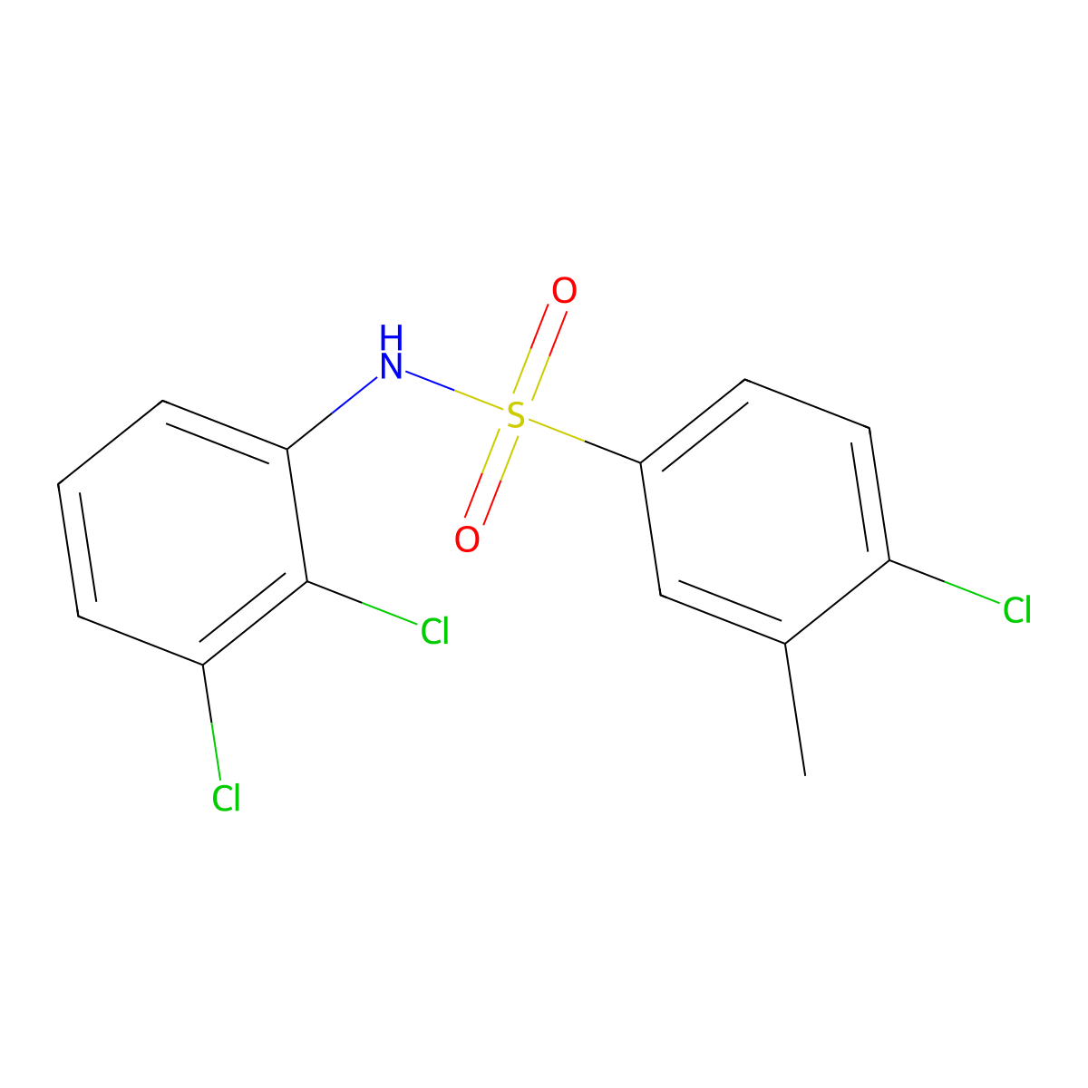 4-chloro-N-(2,3-dichlorophenyl)-3-methylbenzene-1-sulfonamide molecular structure, CAS 1987999-80-3
