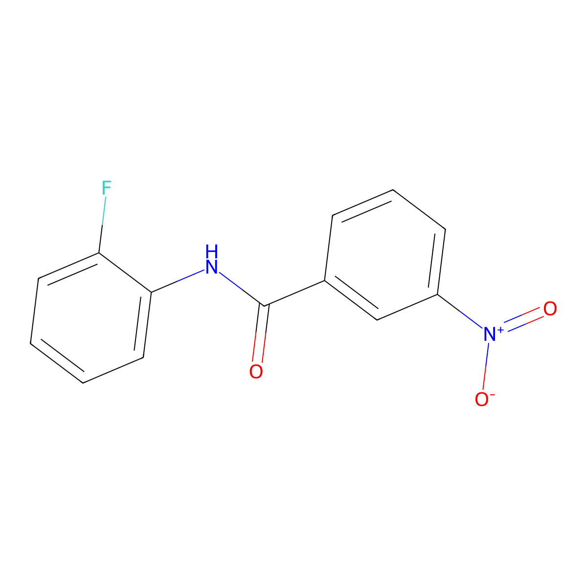 N-(2-fluorophenyl)-3-nitrobenzamide molecular structure, CAS 198879-93-5