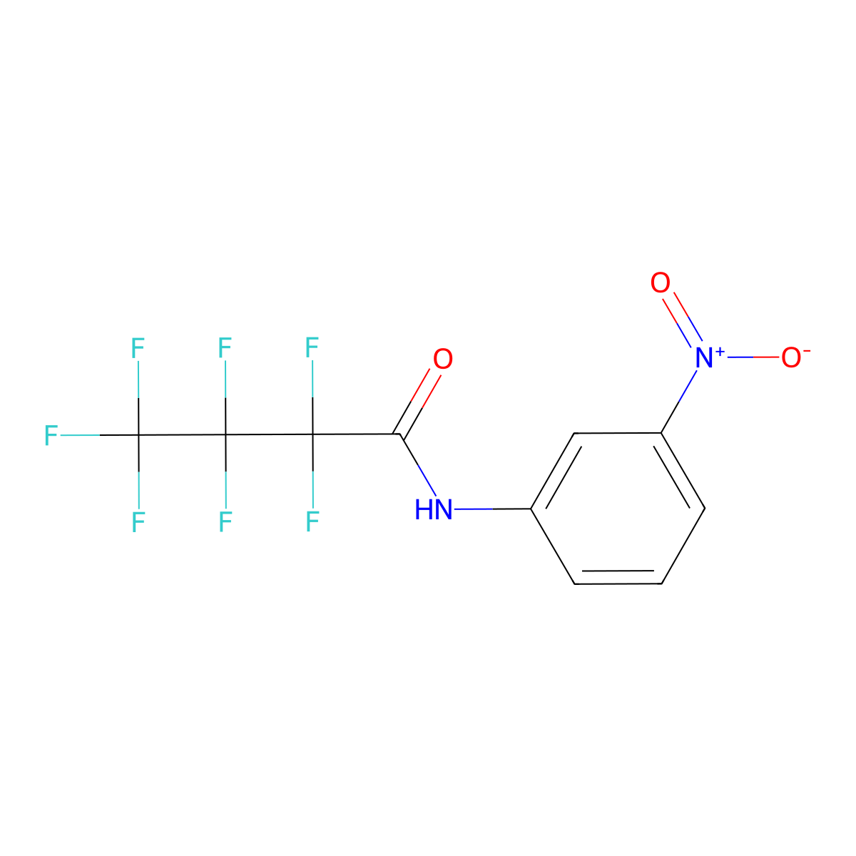 Butanamide, N-(3-nitrophenyl)-2,2,3,3,4,4,4-heptafluoro- molecular structure, CAS 199530-72-8