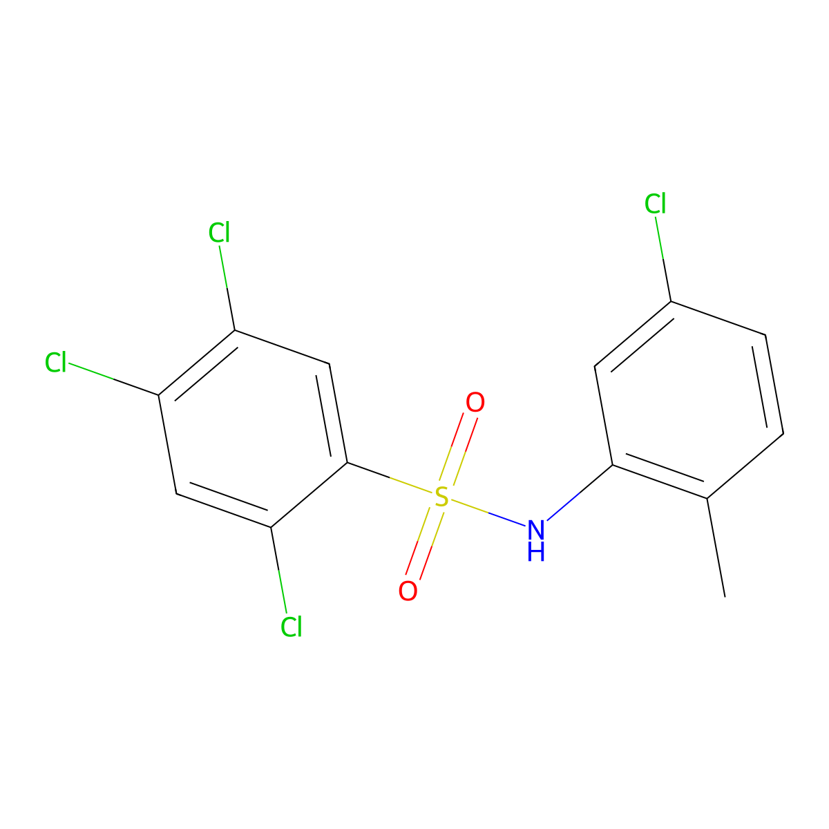 2,4,5-trichloro-N-(5-chloro-2-methylphenyl)benzene-1-sulfonamide molecular structure, CAS 200403-42-5