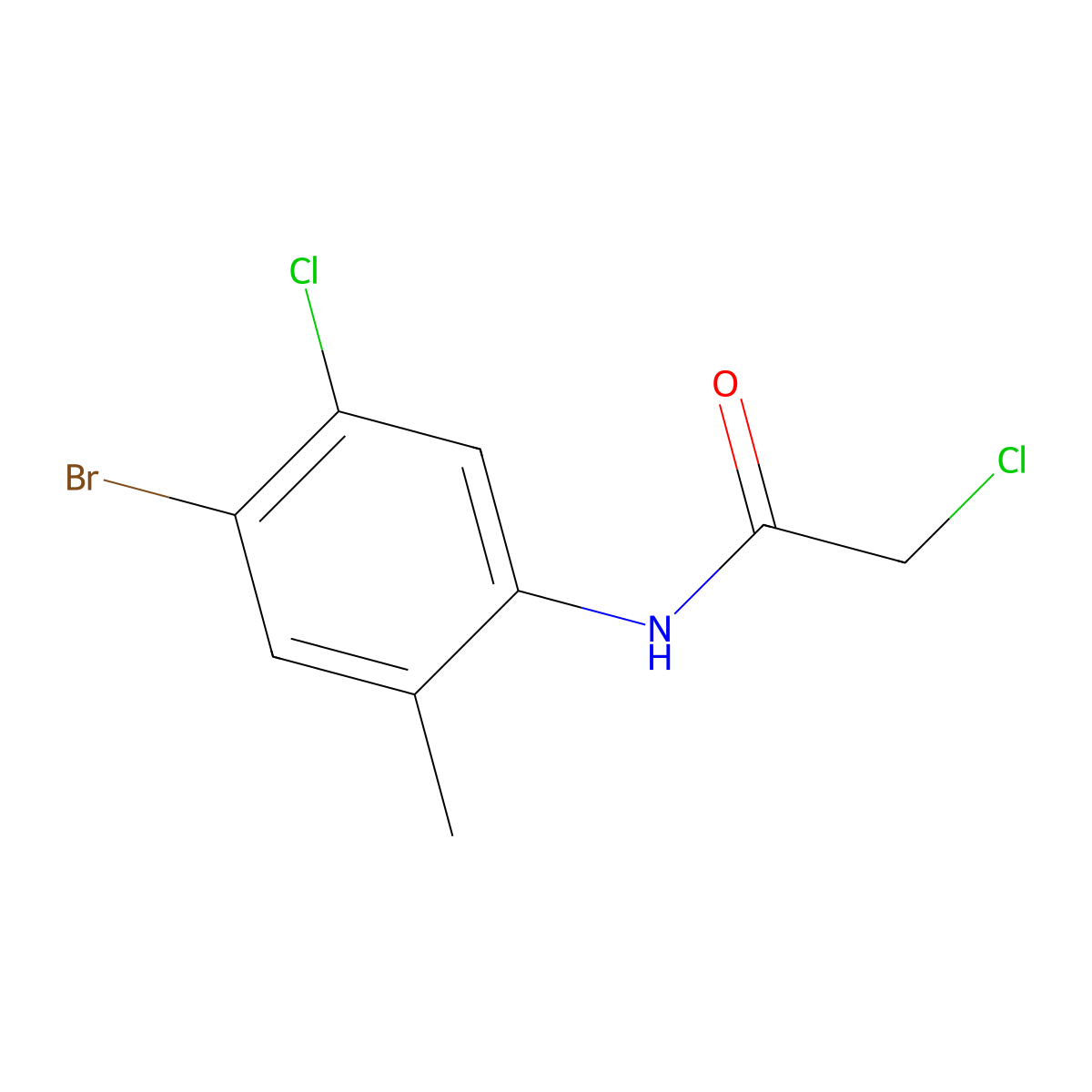 N-(4-bromo-5-chloro-2-methylphenyl)-2-chloroacetamide molecular structure, CAS 2019378-41-5