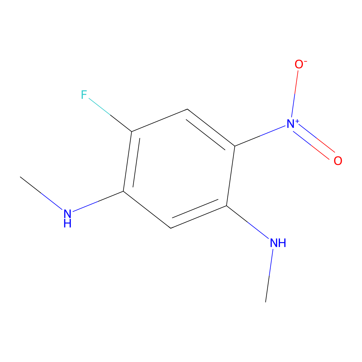 4-fluoro-1-N,3-N-dimethyl-6-nitrobenzene-1,3-diamine molecular structure, CAS 202330-66-3