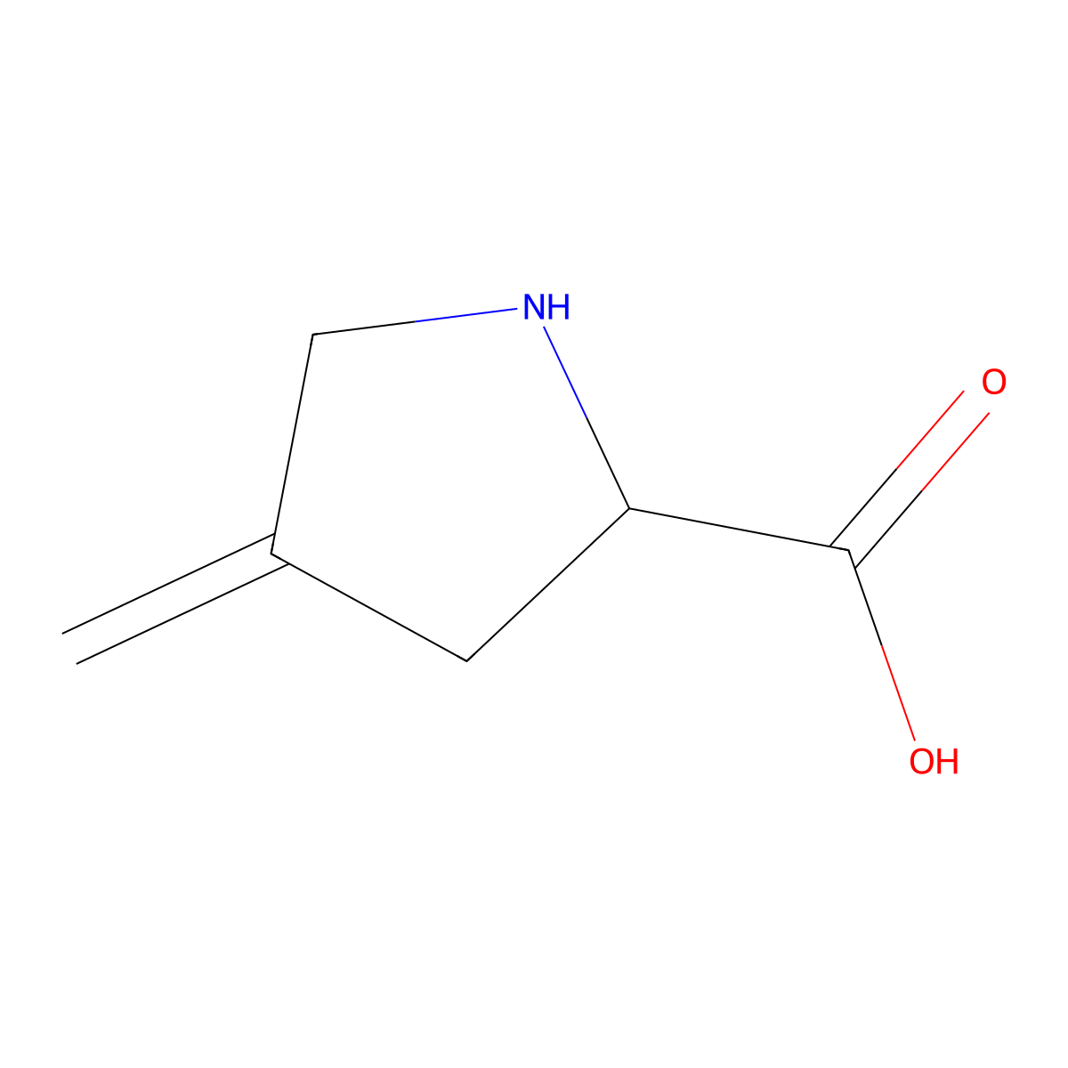 4-Methyleneproline molecular structure, CAS 20309-87-9