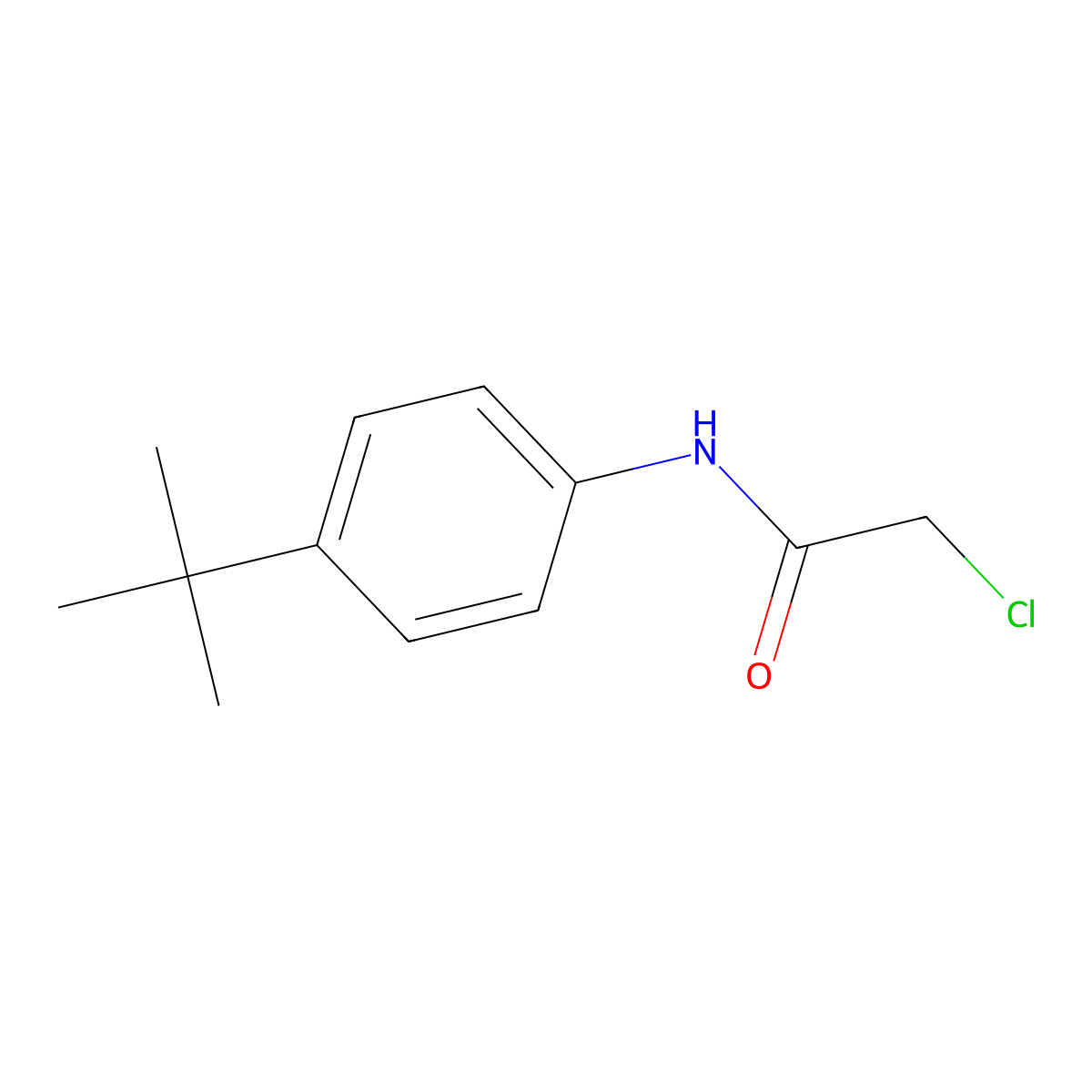 N-(4-tert-butylphenyl)-2-chloroacetamide molecular structure, CAS 20330-46-5
