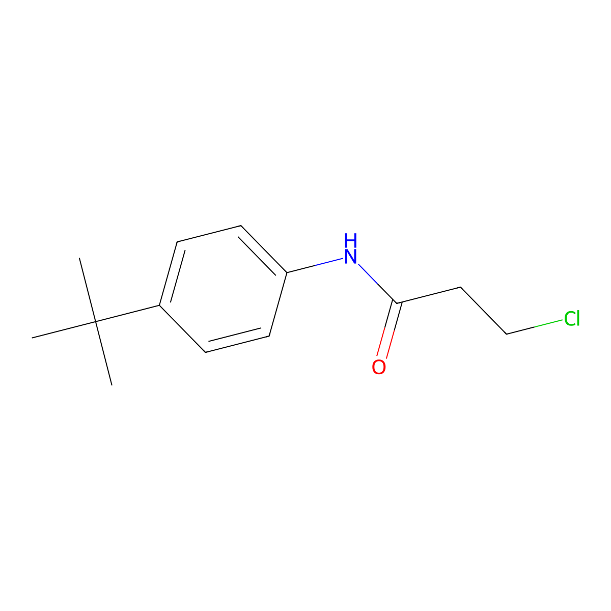 N-(4-tert-butylphenyl)-3-chloropropanamide molecular structure, CAS 20330-49-8