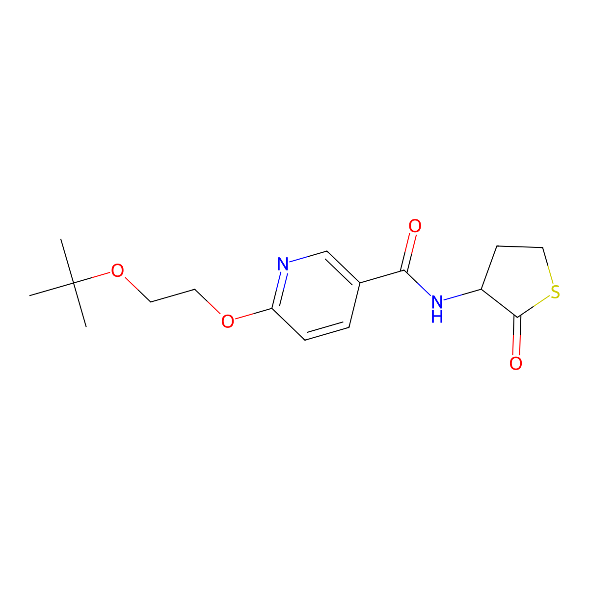 6-(2-(tert-butoxy)ethoxy)-N-(2-oxotetrahydrothiophen-3-yl)nicotinamide molecular structure, CAS 2034390-97-9
