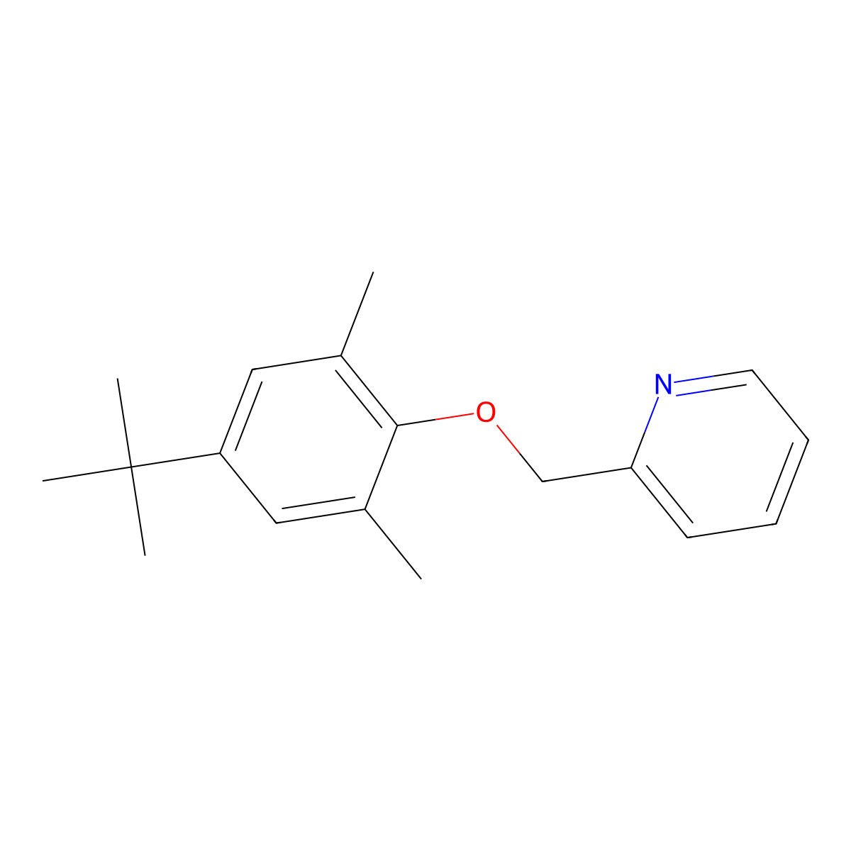 Pyridine, 2-[[4-(1,1-dimethylethyl)-2,6-dimethylphenoxy]methyl]- molecular structure, CAS 204576-43-2