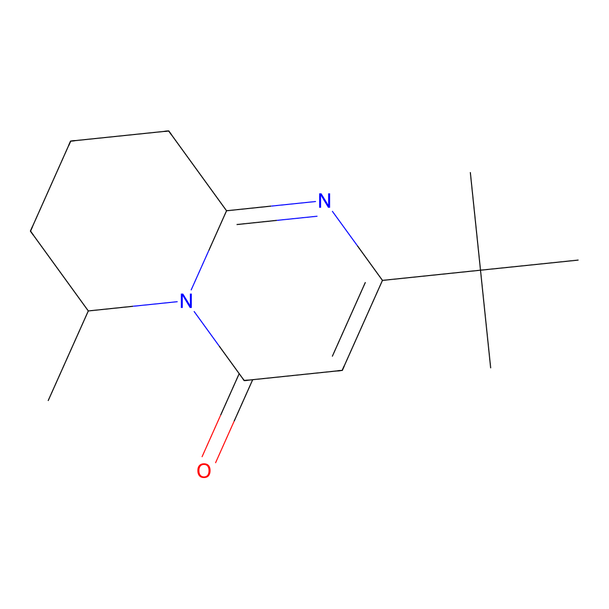 2-tert-Butyl-6-methyl-4H,6H,7H,8H,9H-pyrido[1,2-a]pyrimidin-4-one molecular structure, CAS 2059940-59-7