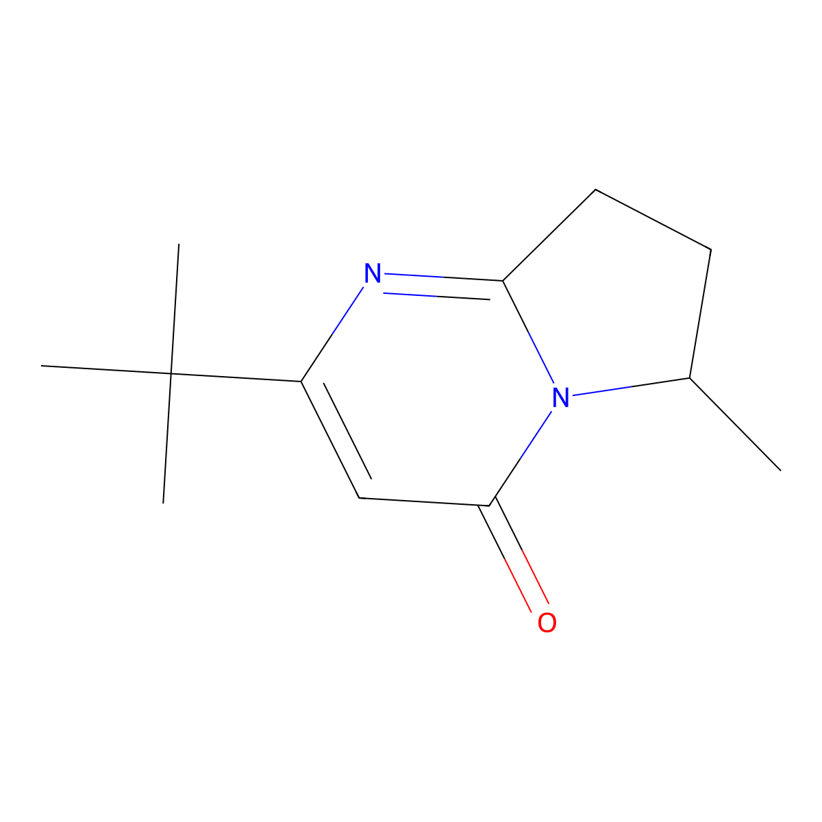 2-tert-Butyl-6-methyl-4H,6H,7H,8H-pyrrolo[1,2-a]pyrimidin-4-one molecular structure, CAS 2059941-18-1