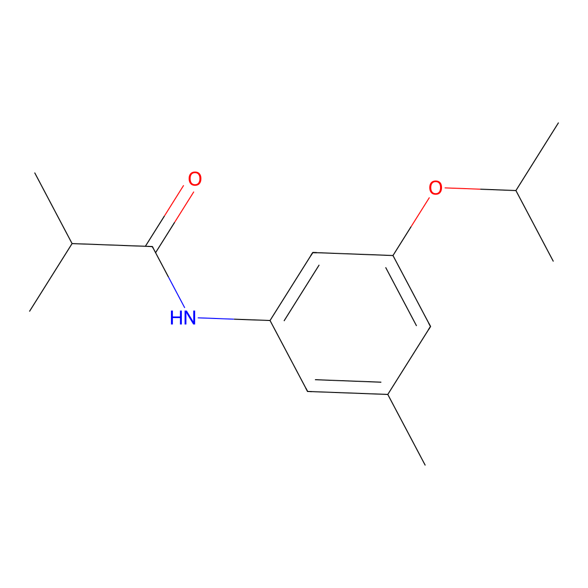 2-Methyl-N-[3-methyl-5-(propan-2-yloxy)phenyl]propanamide molecular structure, CAS 2059944-97-5