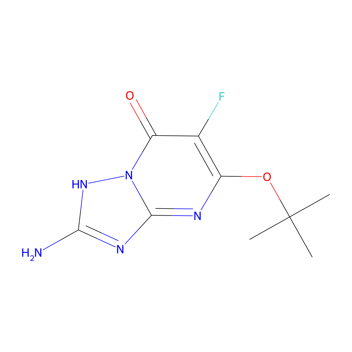 2-Amino-5-(tert-butoxy)-6-fluoro-4H,7H-[1,2,4]triazolo[1,5-a]pyrimidin-7-one molecular structure, CAS 2059965-85-2