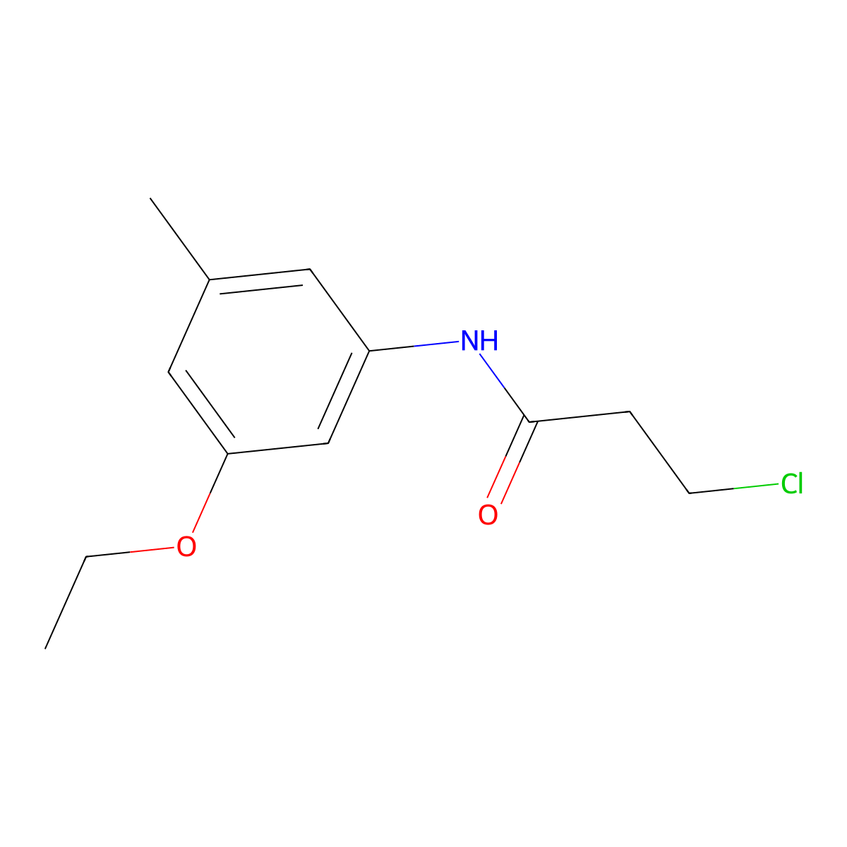 3-Chloro-N-(3-ethoxy-5-methylphenyl)propanamide molecular structure, CAS 2059975-84-5