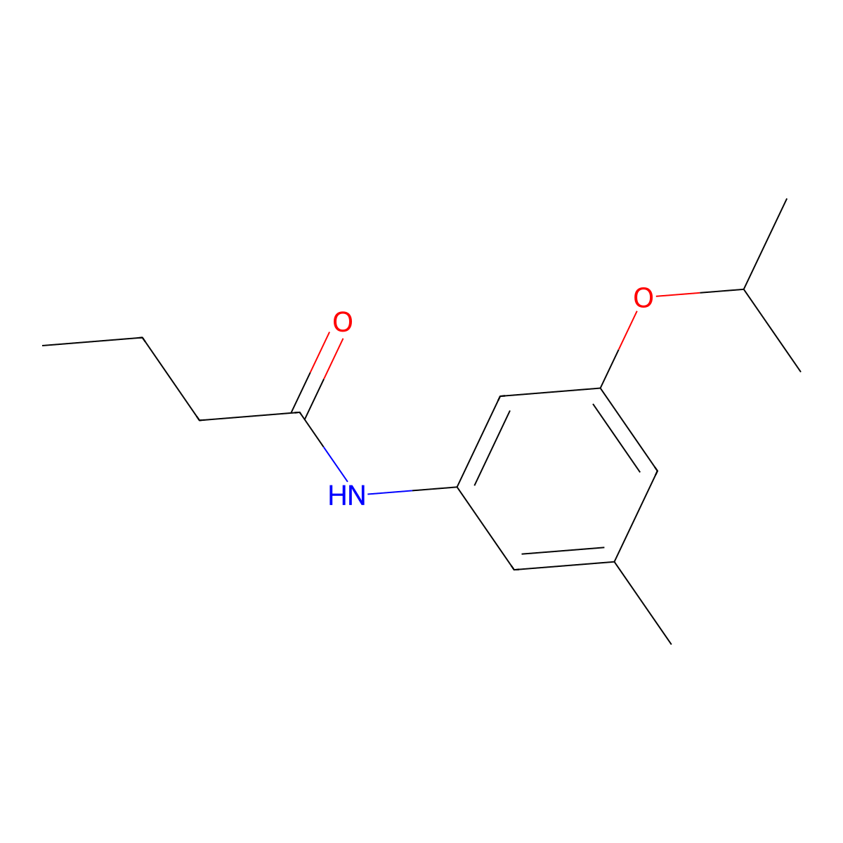 N-[3-Methyl-5-(propan-2-yloxy)phenyl]butanamide molecular structure, CAS 2059976-07-5