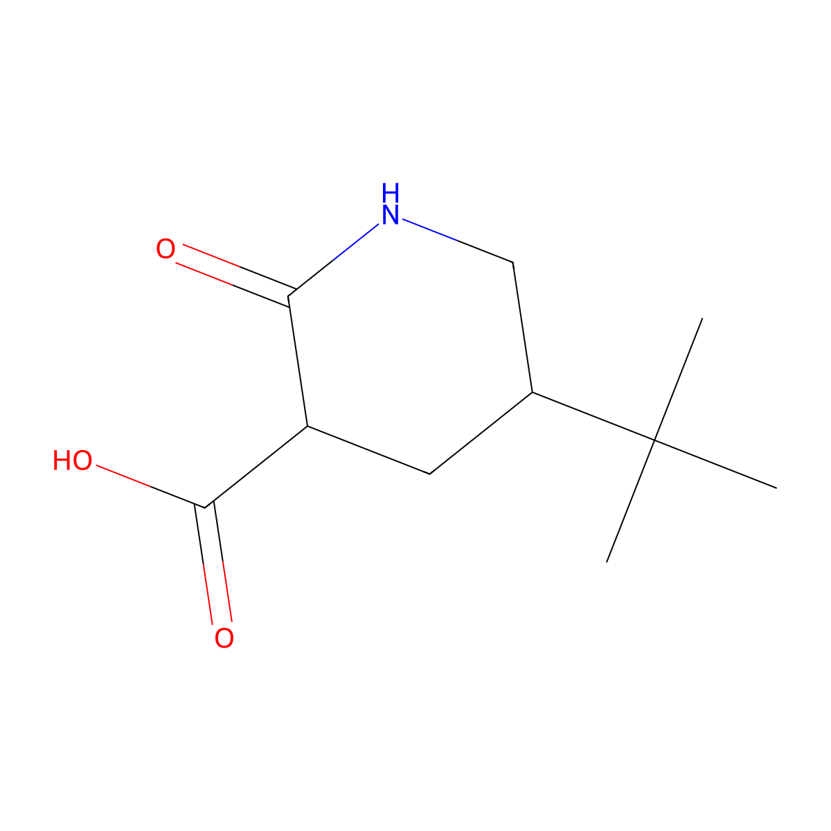 5-tert-Butyl-2-oxopiperidine-3-carboxylic acid molecular structure, CAS 2059987-48-1