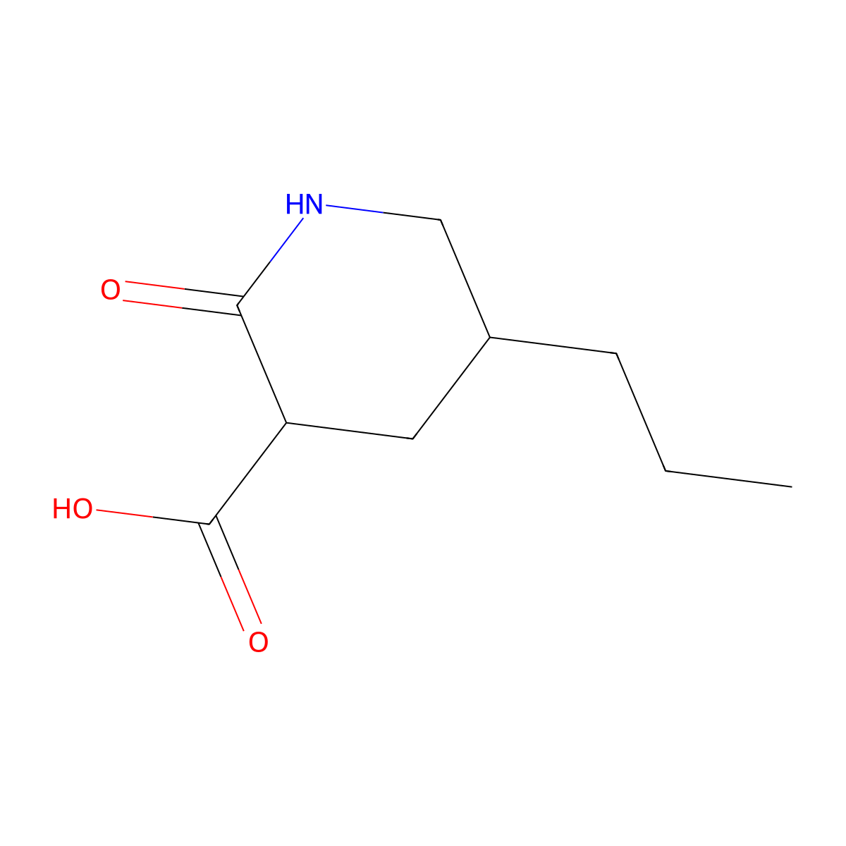 2-Oxo-5-propylpiperidine-3-carboxylic acid molecular structure, CAS 2060008-69-5
