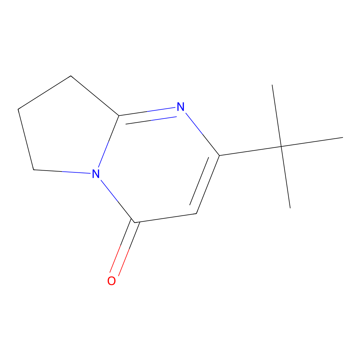 2-tert-Butyl-4H,6H,7H,8H-pyrrolo[1,2-a]pyrimidin-4-one molecular structure, CAS 2060009-19-8