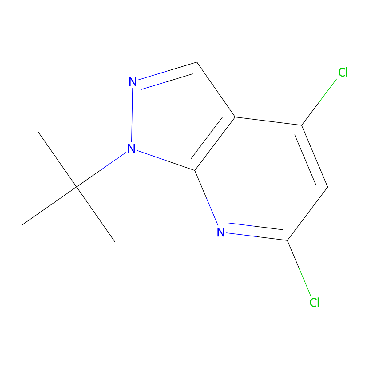 1-tert-Butyl-4,6-dichloro-1H-pyrazolo[3,4-b]pyridine molecular structure, CAS 2060020-36-0