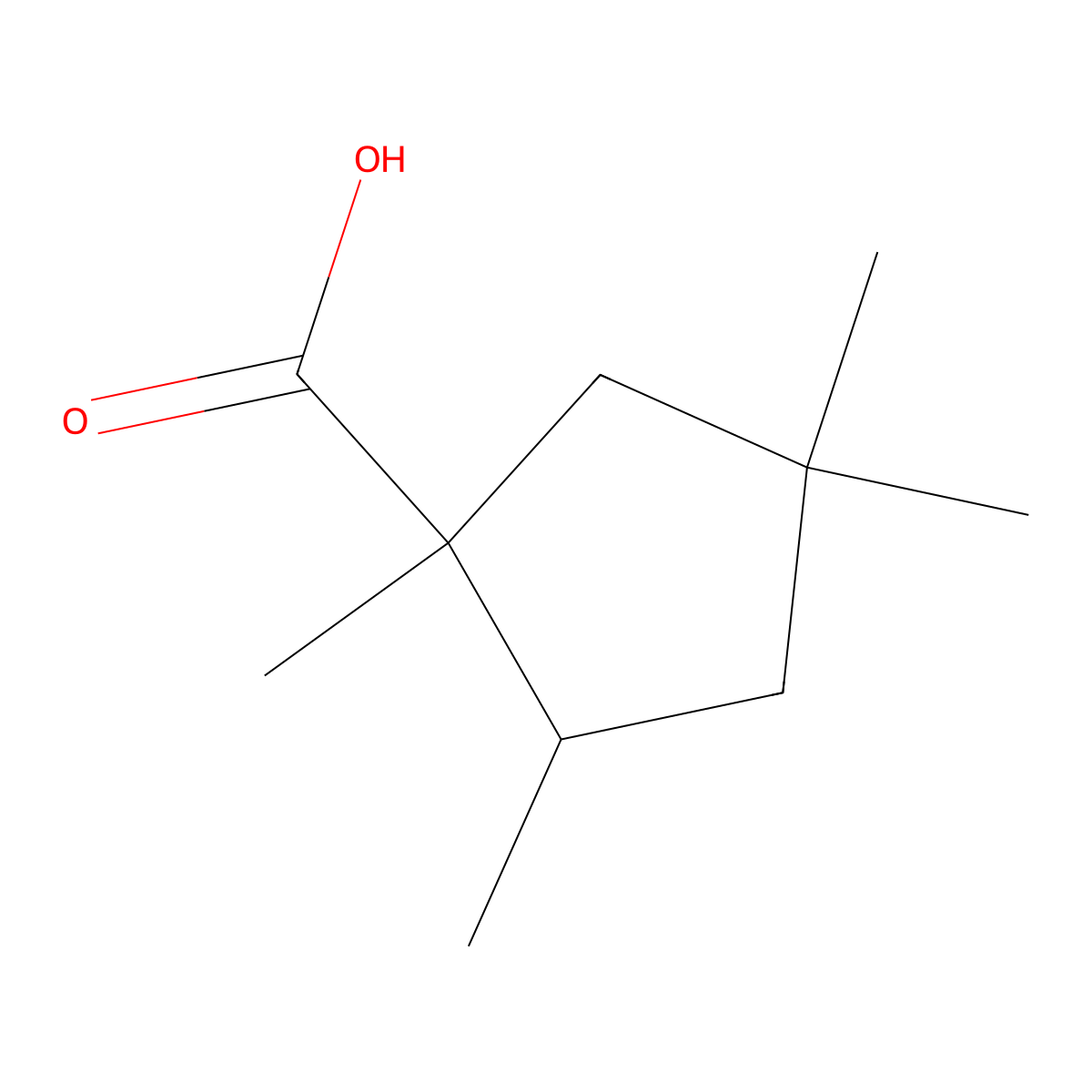 1,2,4,4-Tetramethylcyclopentane-1-carboxylic acid molecular structure, CAS 2060021-73-8