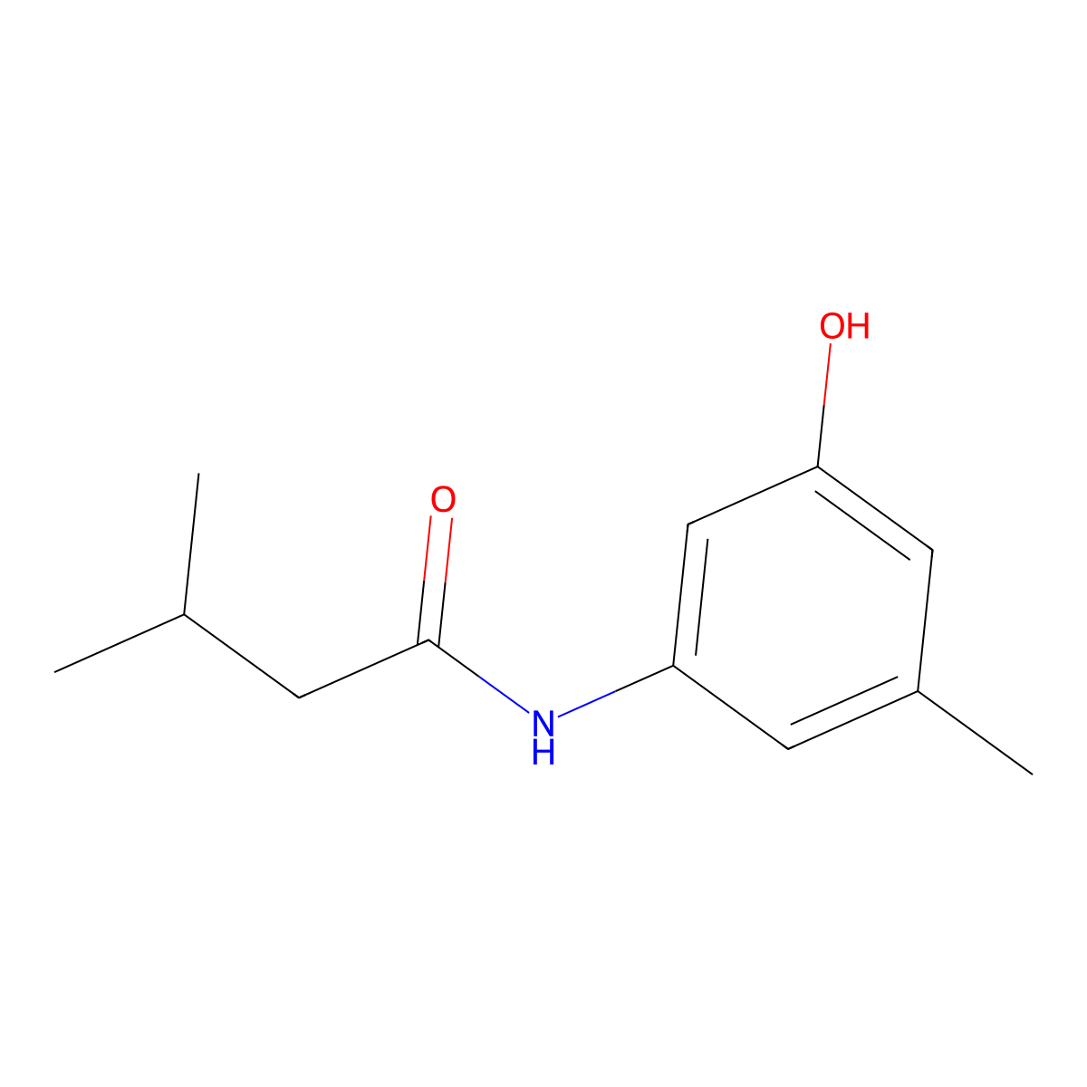 N-(3-Hydroxy-5-methylphenyl)-3-methylbutanamide molecular structure, CAS 2060024-21-5