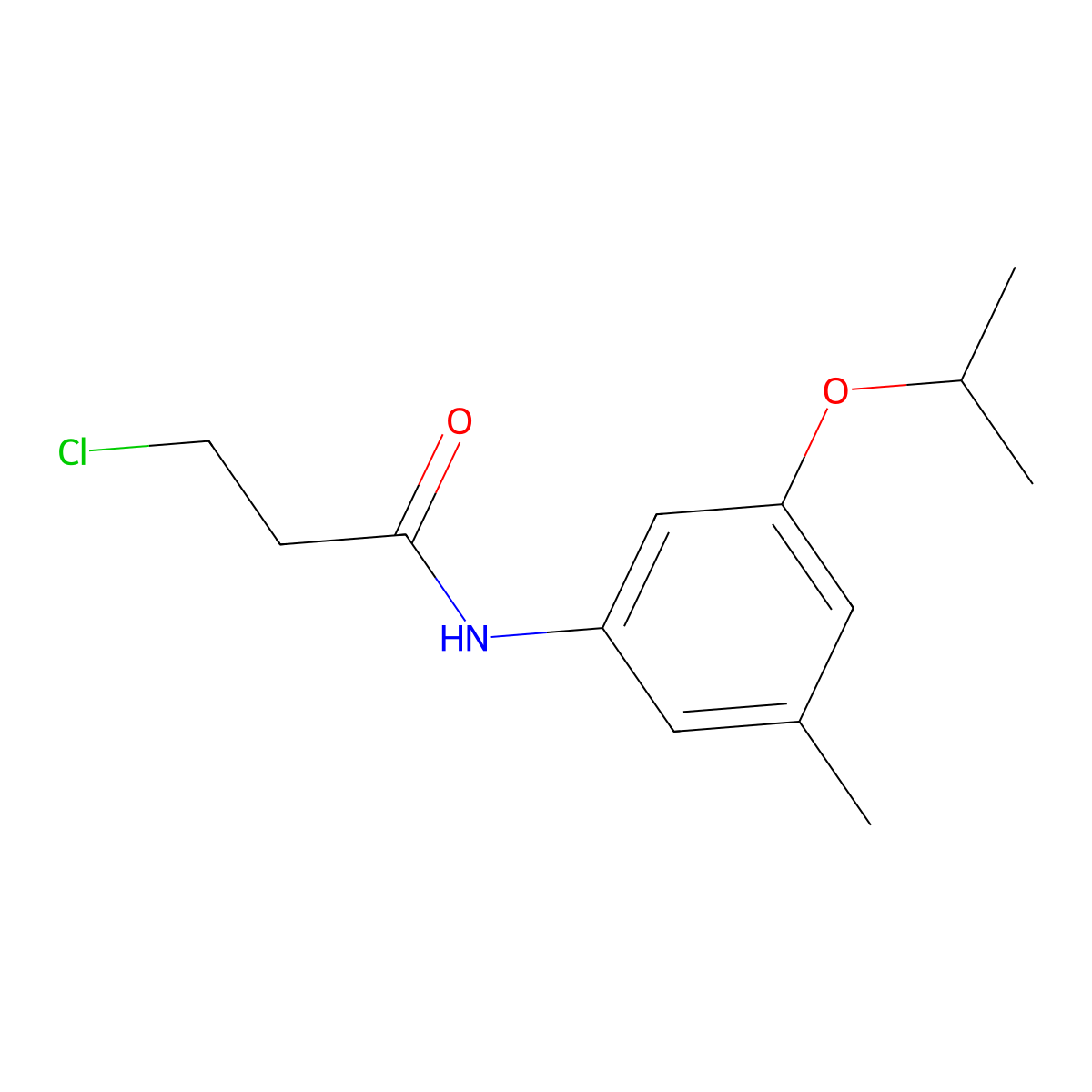 3-Chloro-N-[3-methyl-5-(propan-2-yloxy)phenyl]propanamide molecular structure, CAS 2060024-32-8