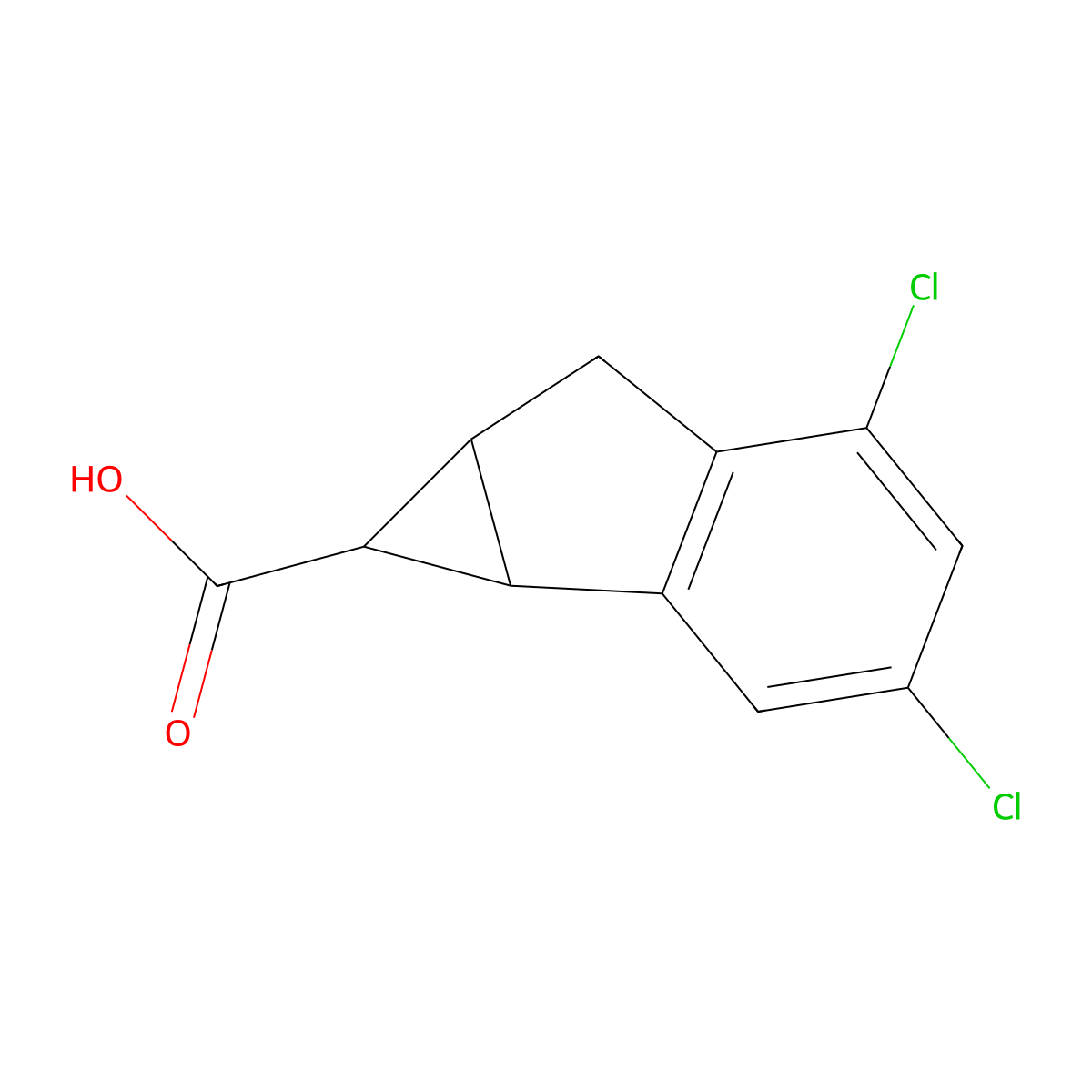 3,5-Dichloro-1H,1aH,6H,6aH-cyclopropa[a]indene-1-carboxylic acid molecular structure, CAS 2060025-12-7