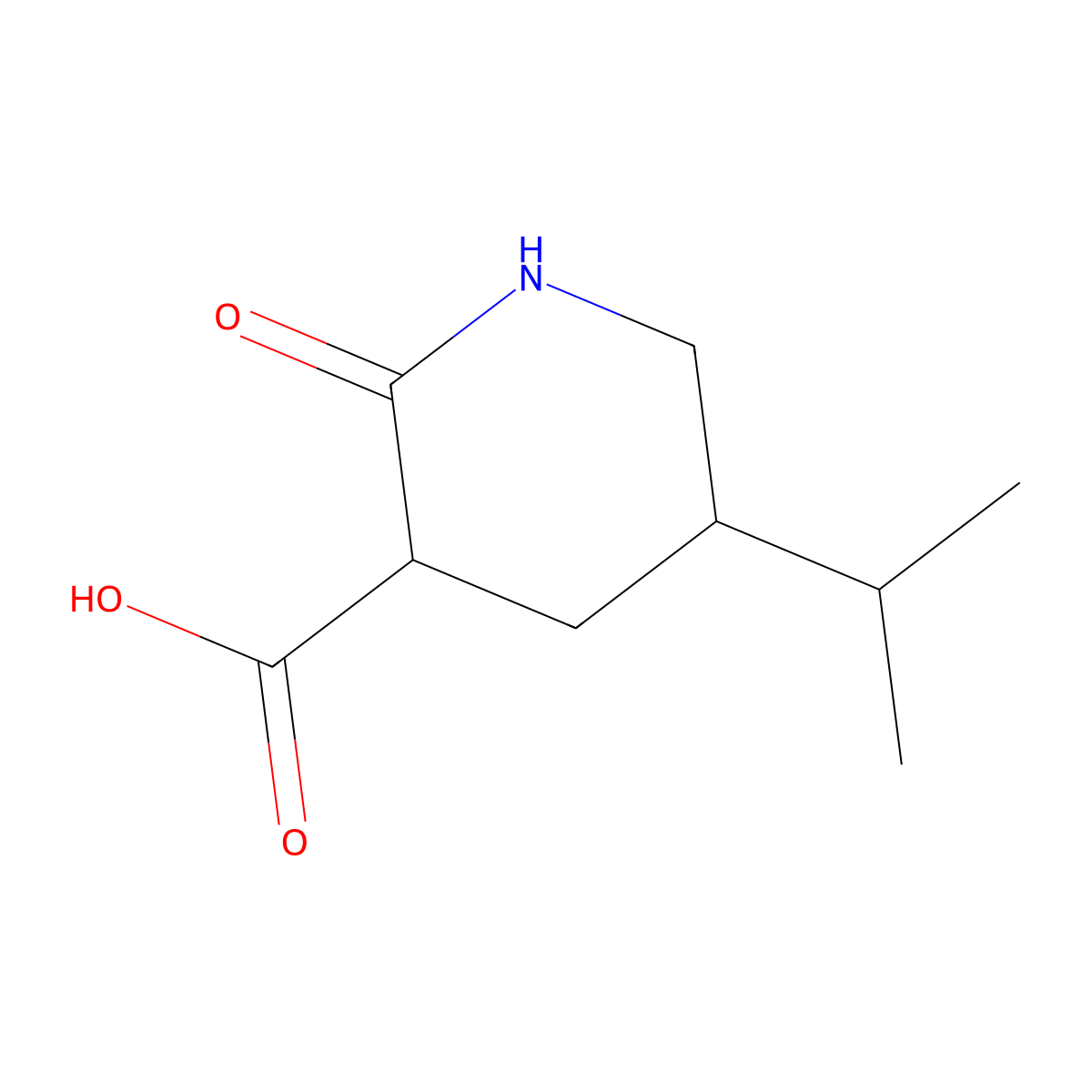 2-Oxo-5-(propan-2-yl)piperidine-3-carboxylic acid molecular structure, CAS 2060033-14-7