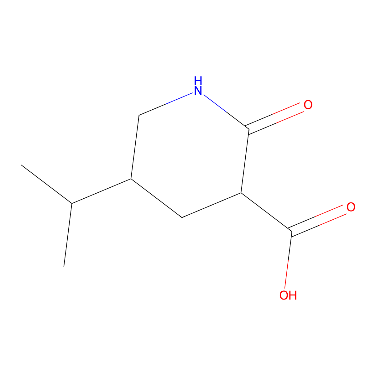 2-Oxo-5-(propan-2-yl)piperidine-3-carboxylic acid molecular structure, CAS 2060033-14-7