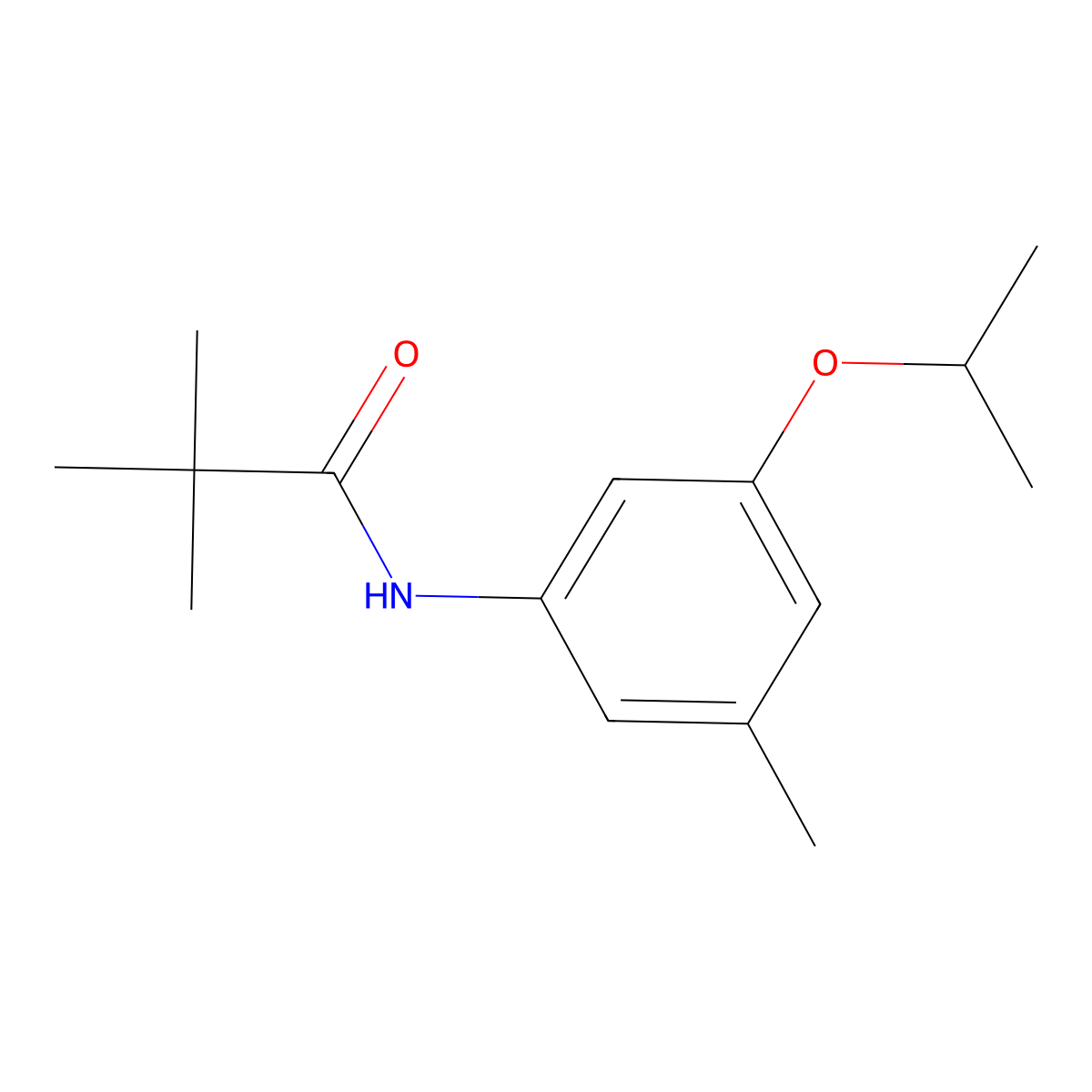 2,2-Dimethyl-N-[3-methyl-5-(propan-2-yloxy)phenyl]propanamide molecular structure, CAS 2060033-82-9