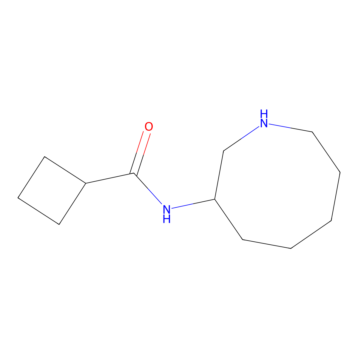 N-(Azocan-3-yl)cyclobutanecarboxamide molecular structure, CAS 2060034-82-2